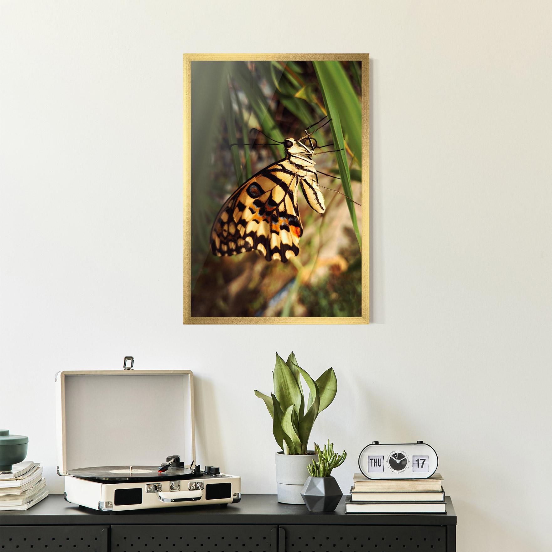 Gerahmte Poster Wild Brown Butterfly mockup 2