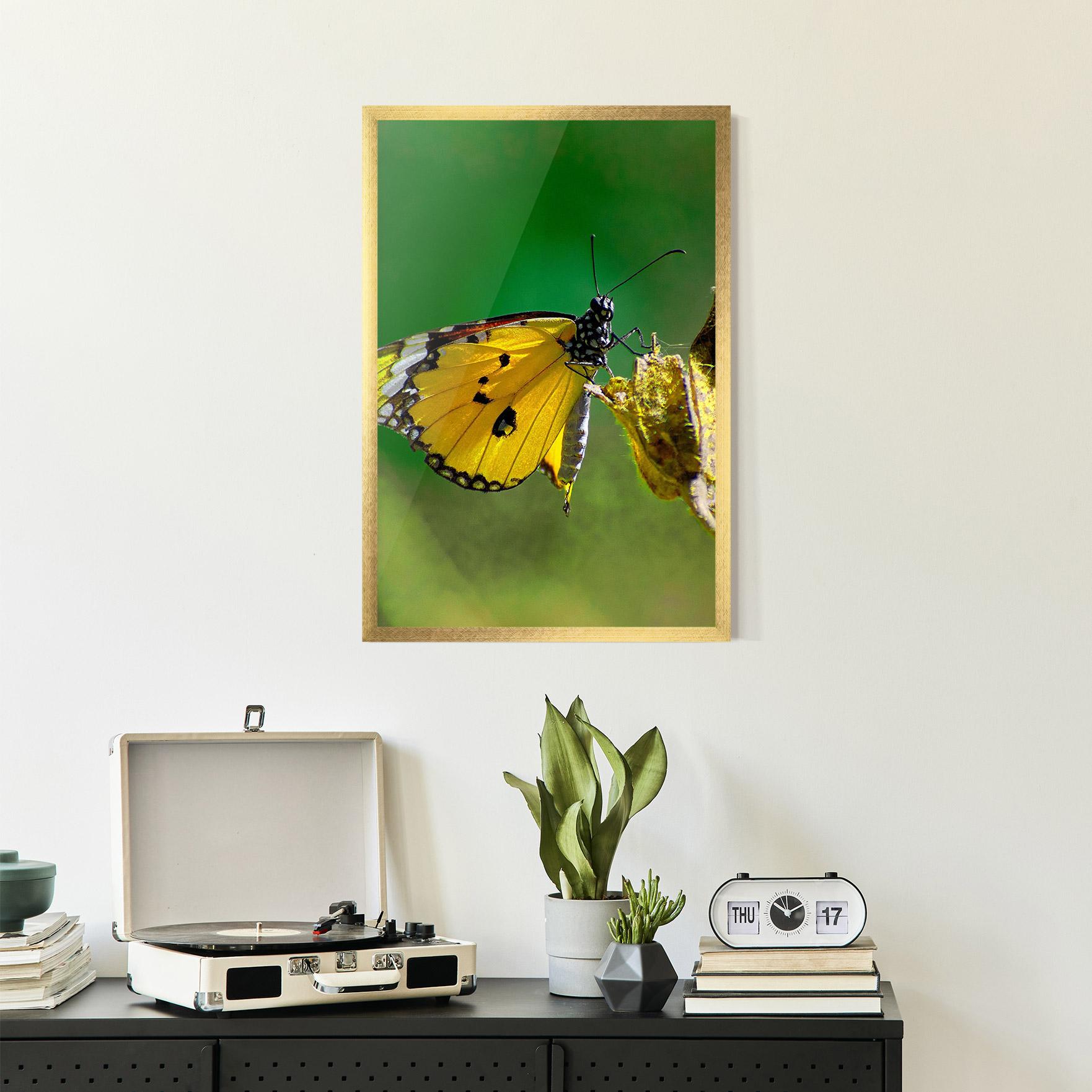 Gerahmte Poster Yellow White Butterfly mockup 2