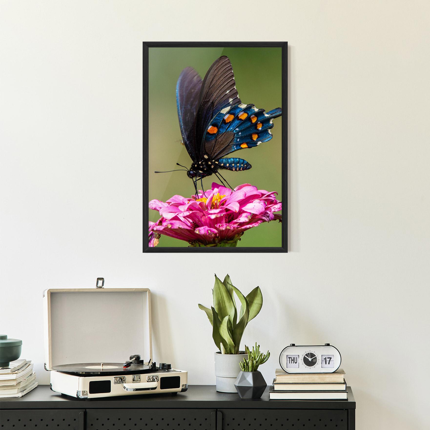 Gerahmte Poster Blue Grey Butterfly mockup 2