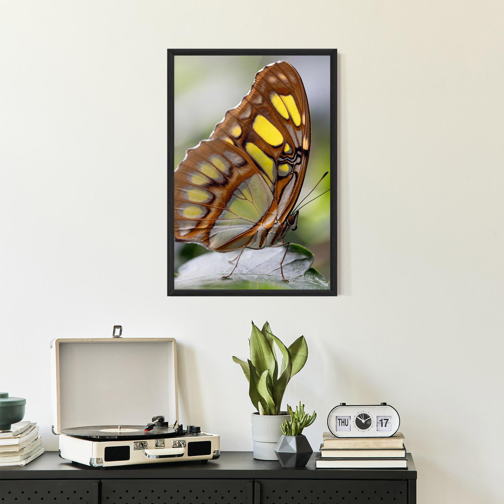 Gerahmte Poster Brown Yellow Butterfly mockup 2