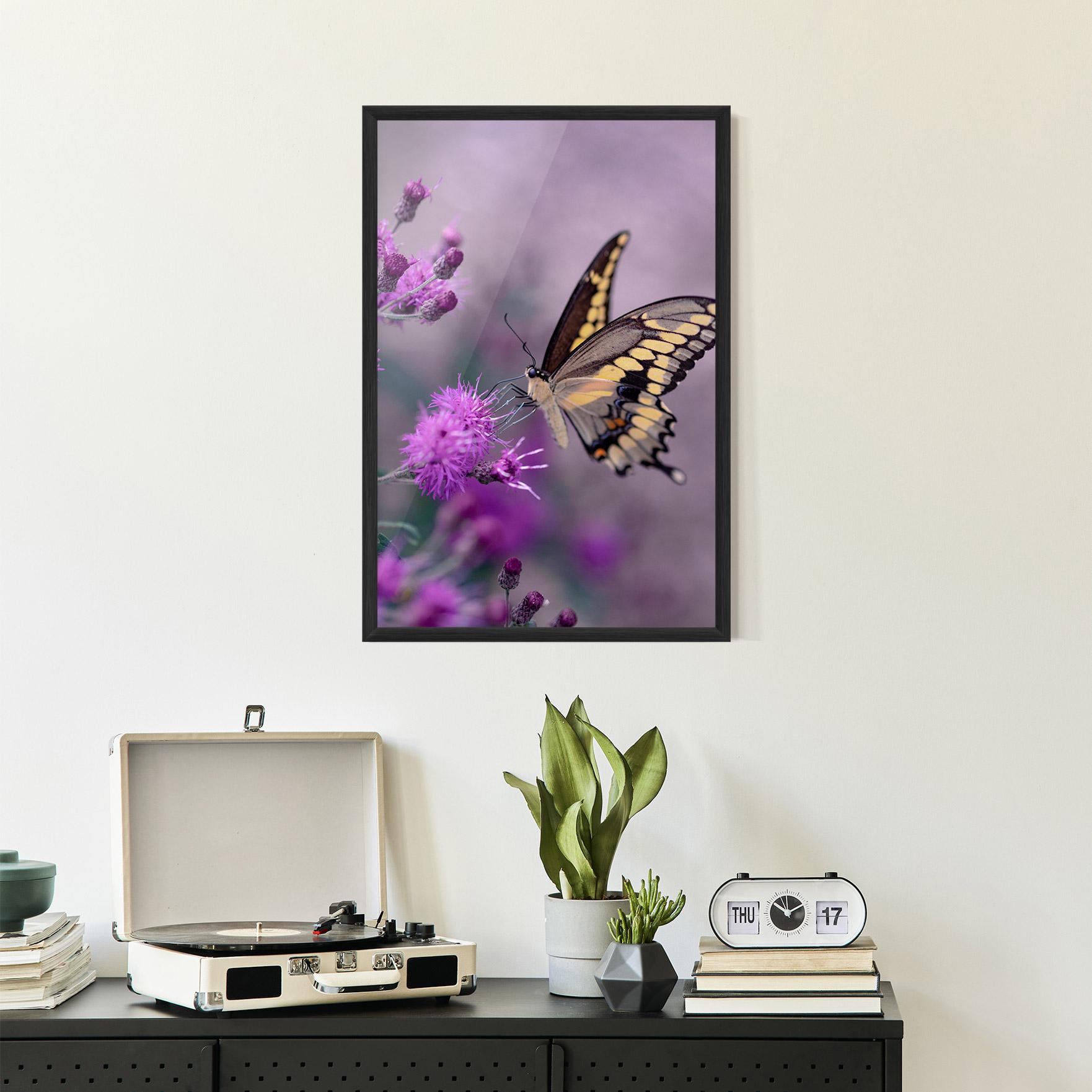 Gerahmte Poster Cream Black Butterfly mockup 2
