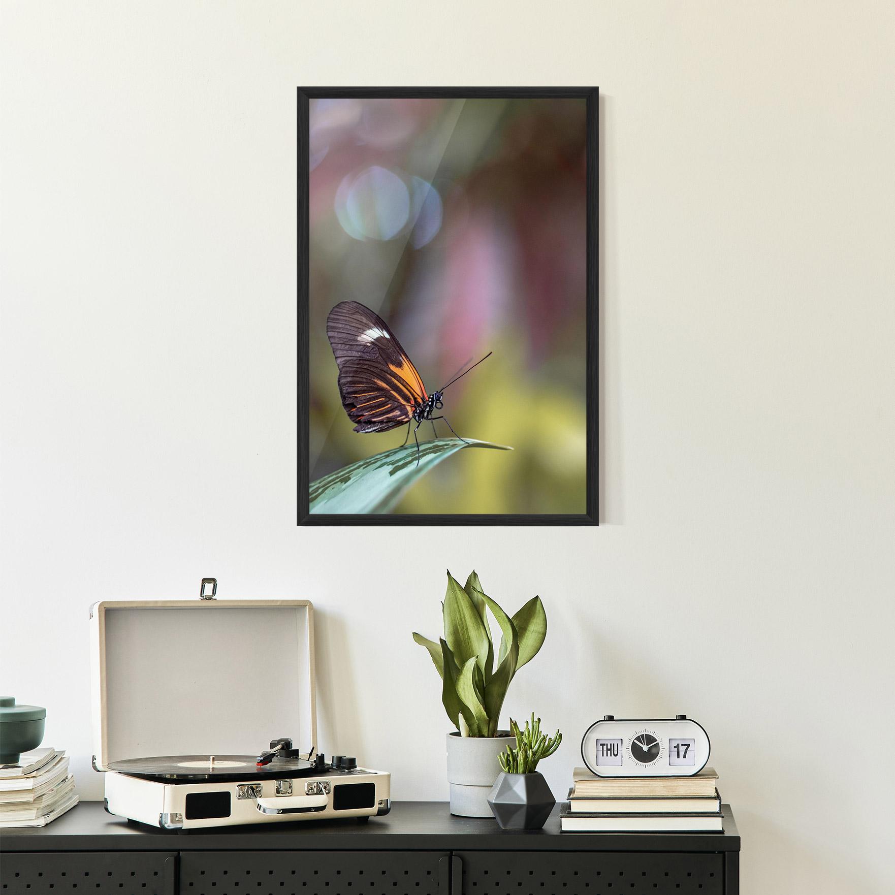 Gerahmte Poster Dark Purple Butterfly mockup 2