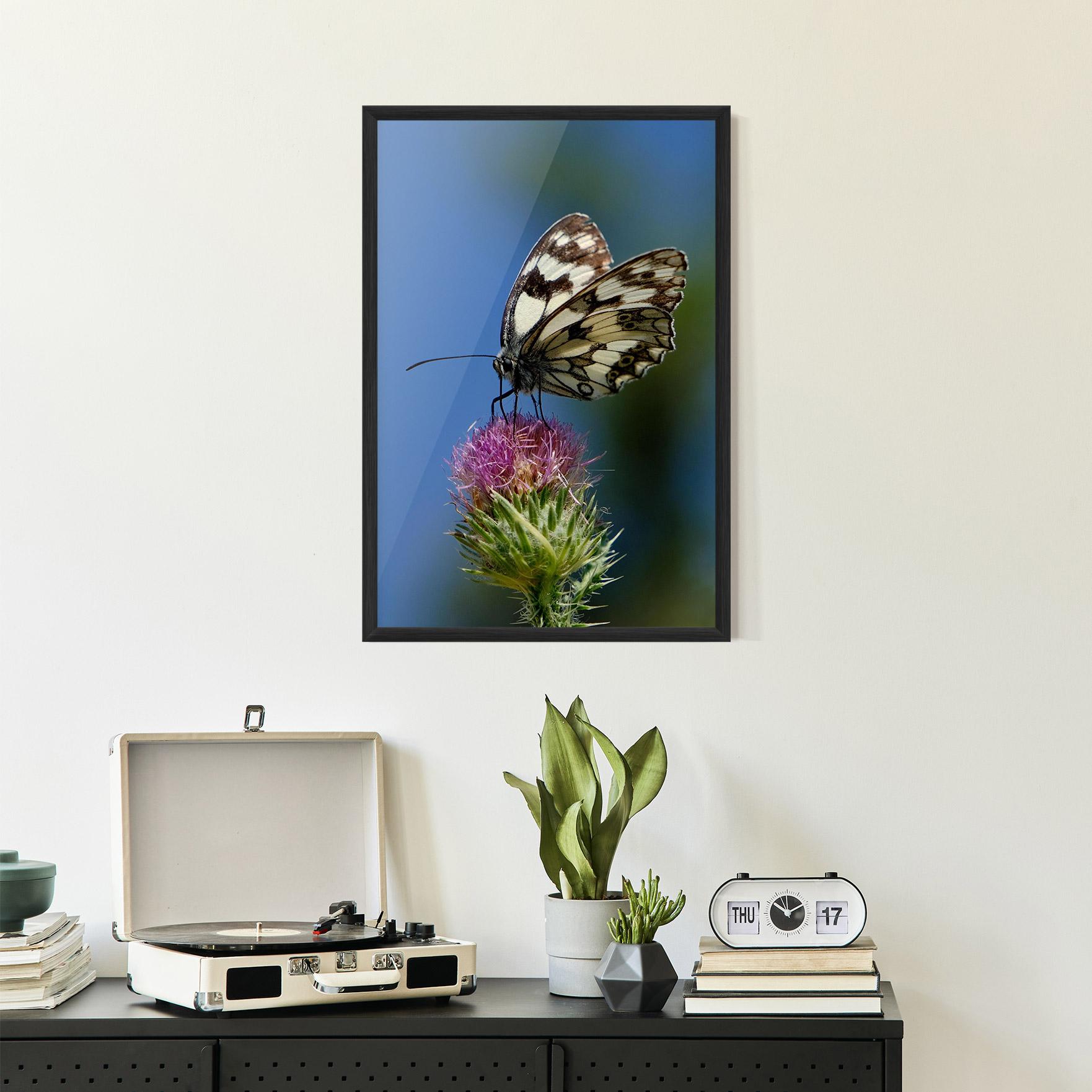 Gerahmte Poster Grey White Butterfly mockup 2