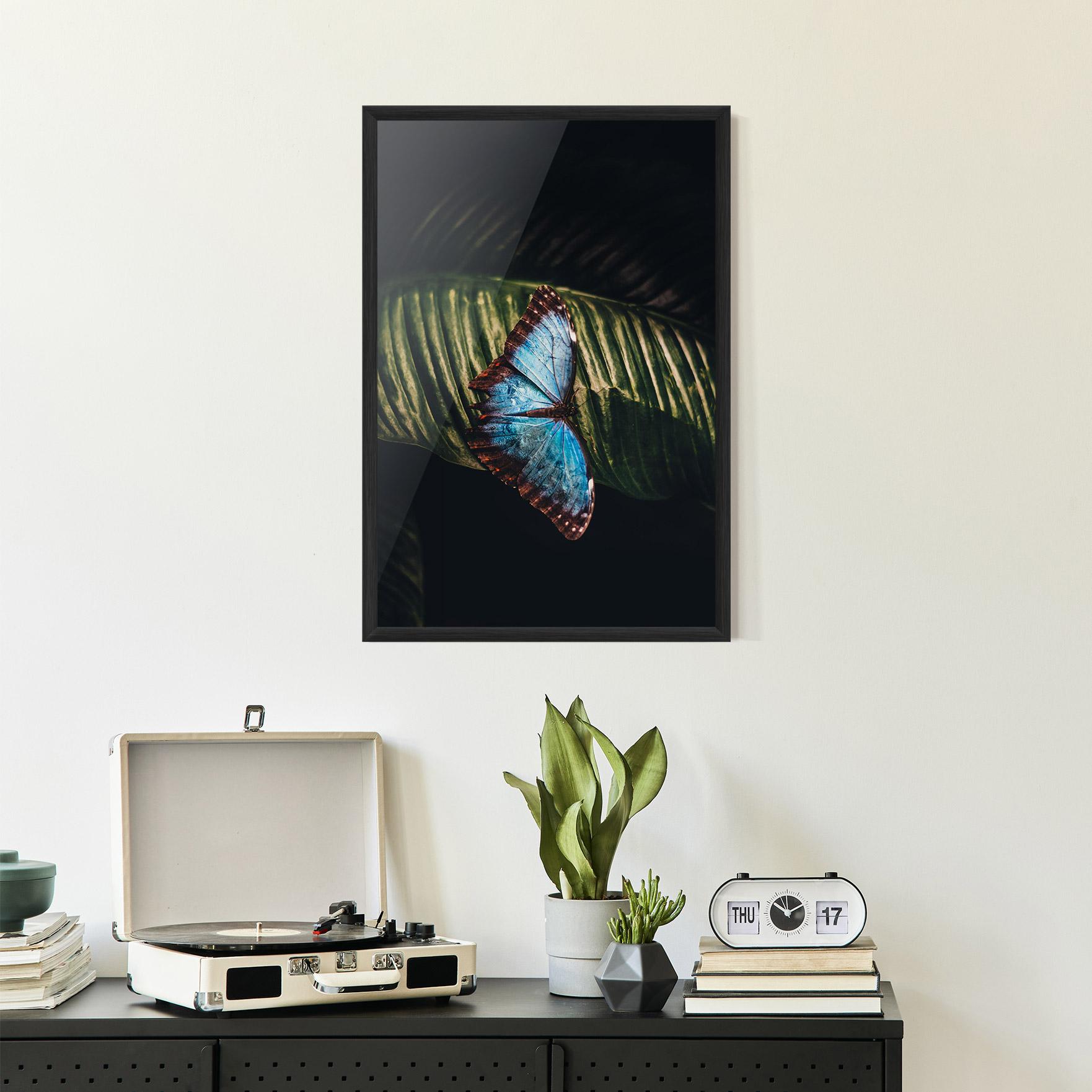 Gerahmte Poster Light Blue Butterfly mockup 2