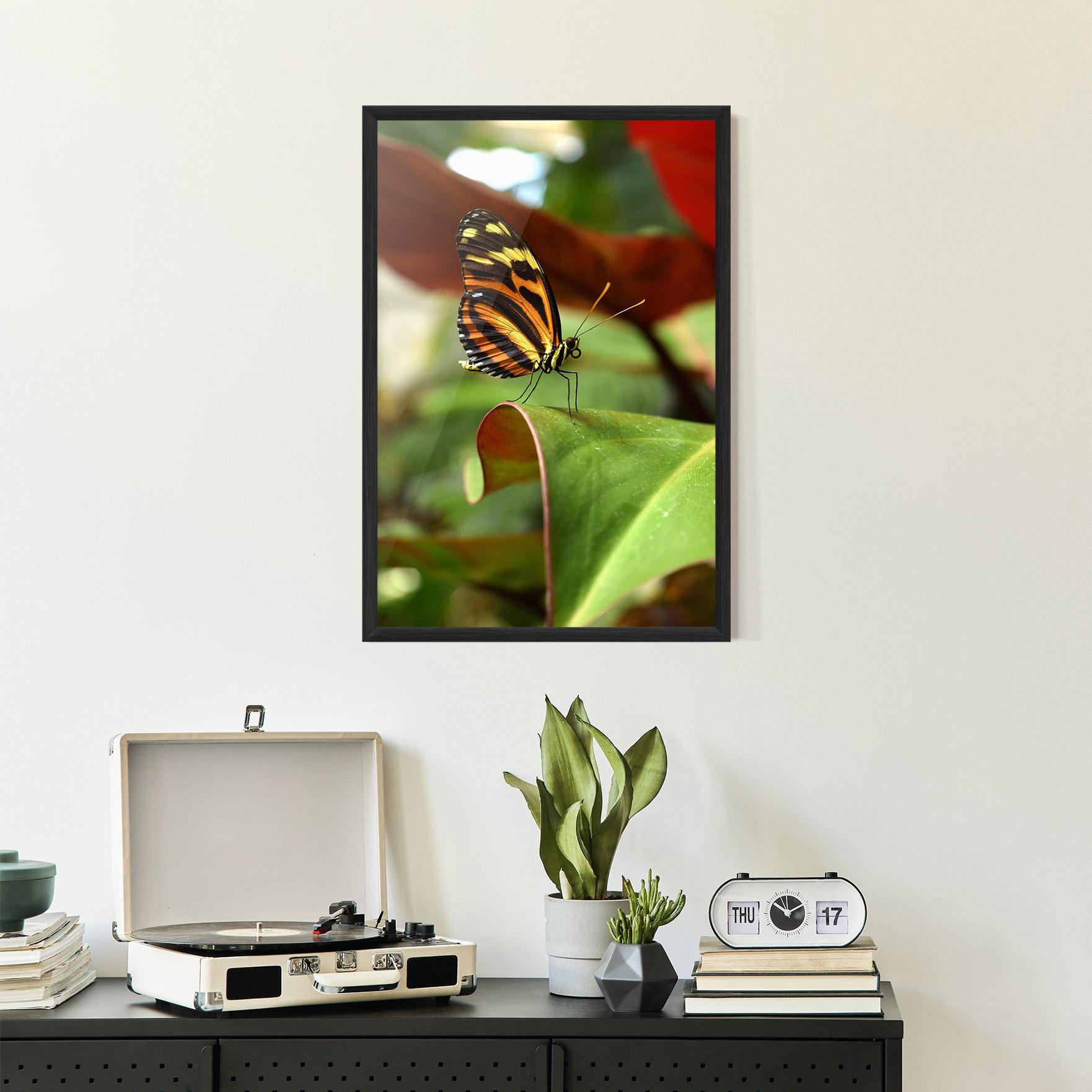 Gerahmte Poster Orange Yellow Butterfly mockup 2