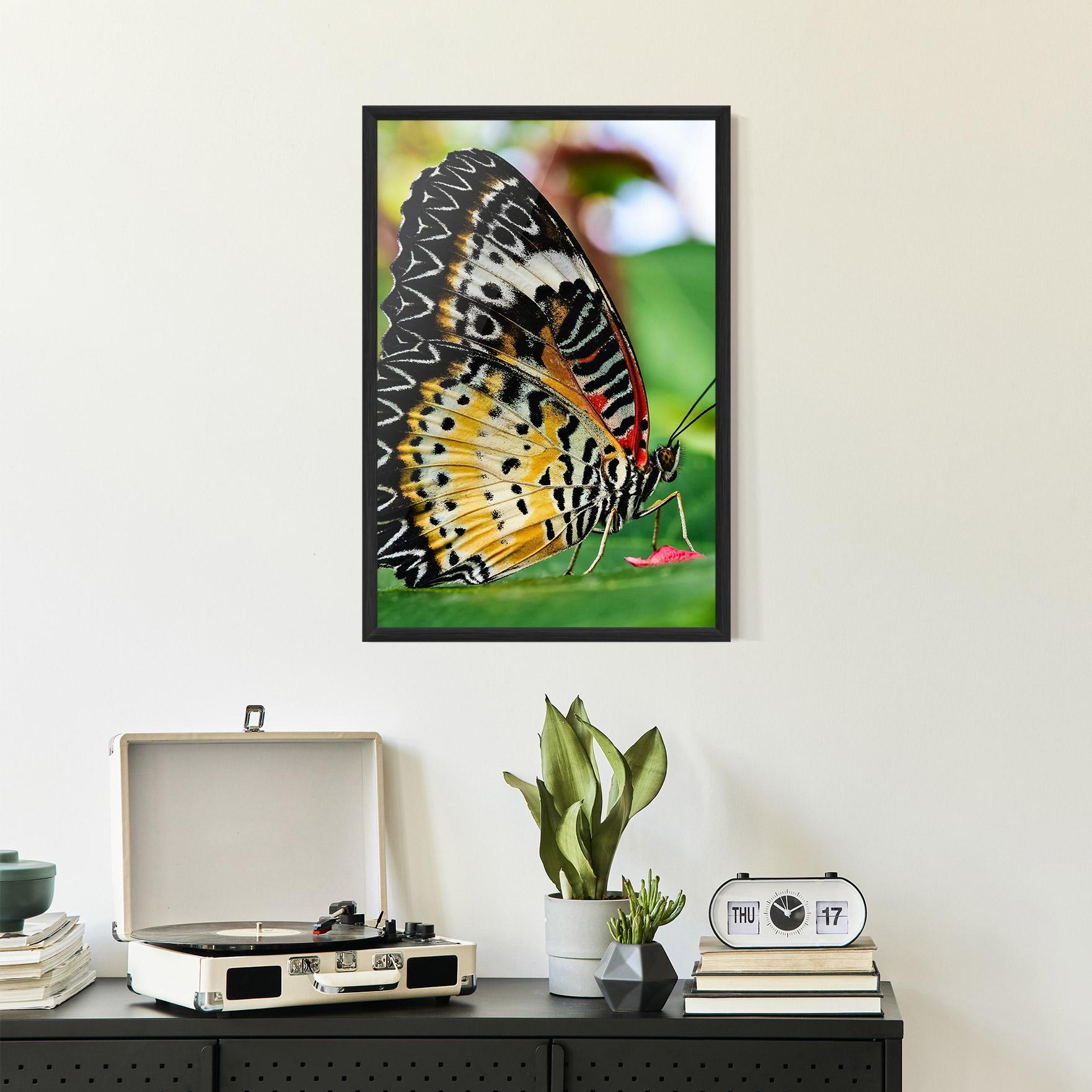 Gerahmte Poster Pretty Colorful Butterfly mockup 2