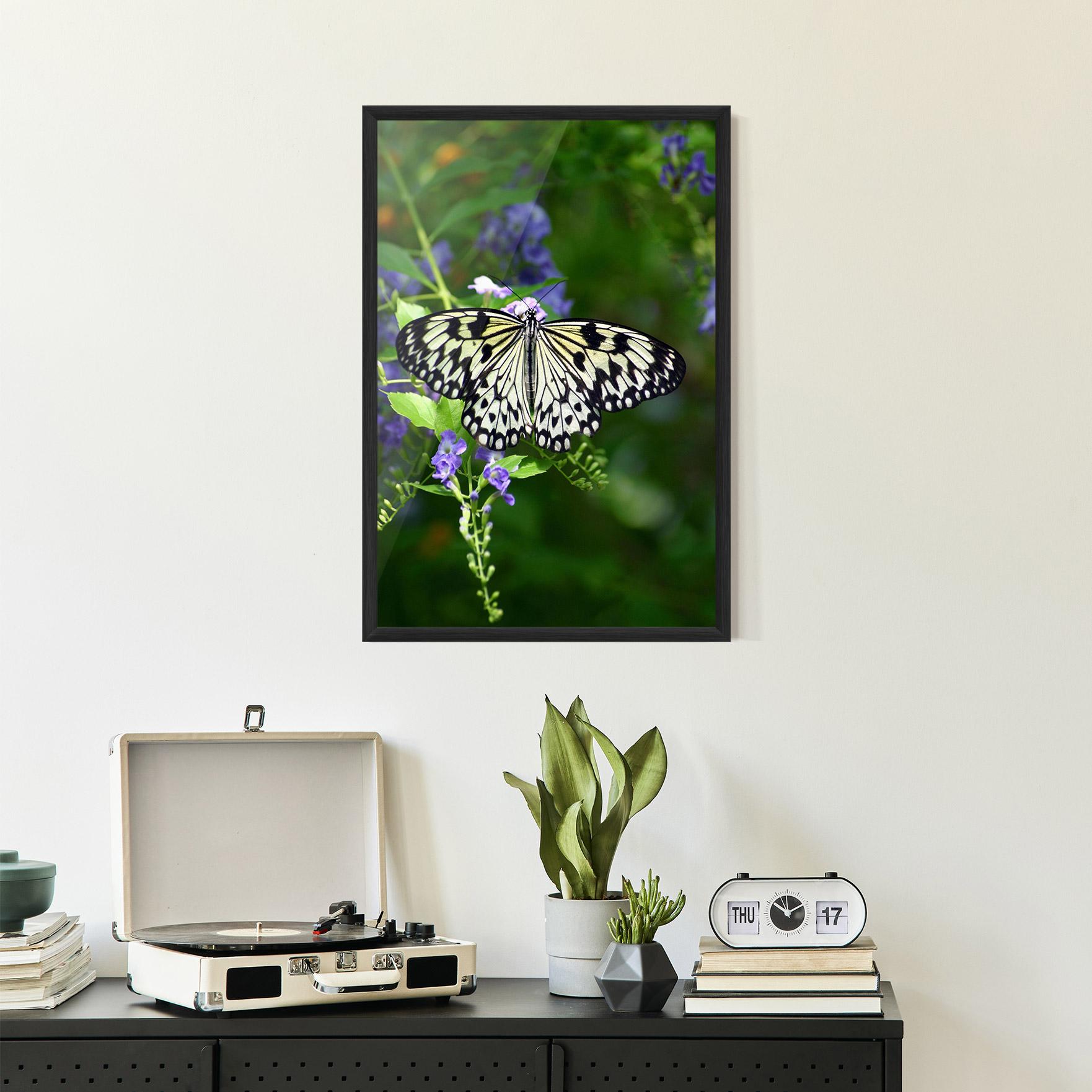 Gerahmte Poster Pretty White Butterfly mockup 2