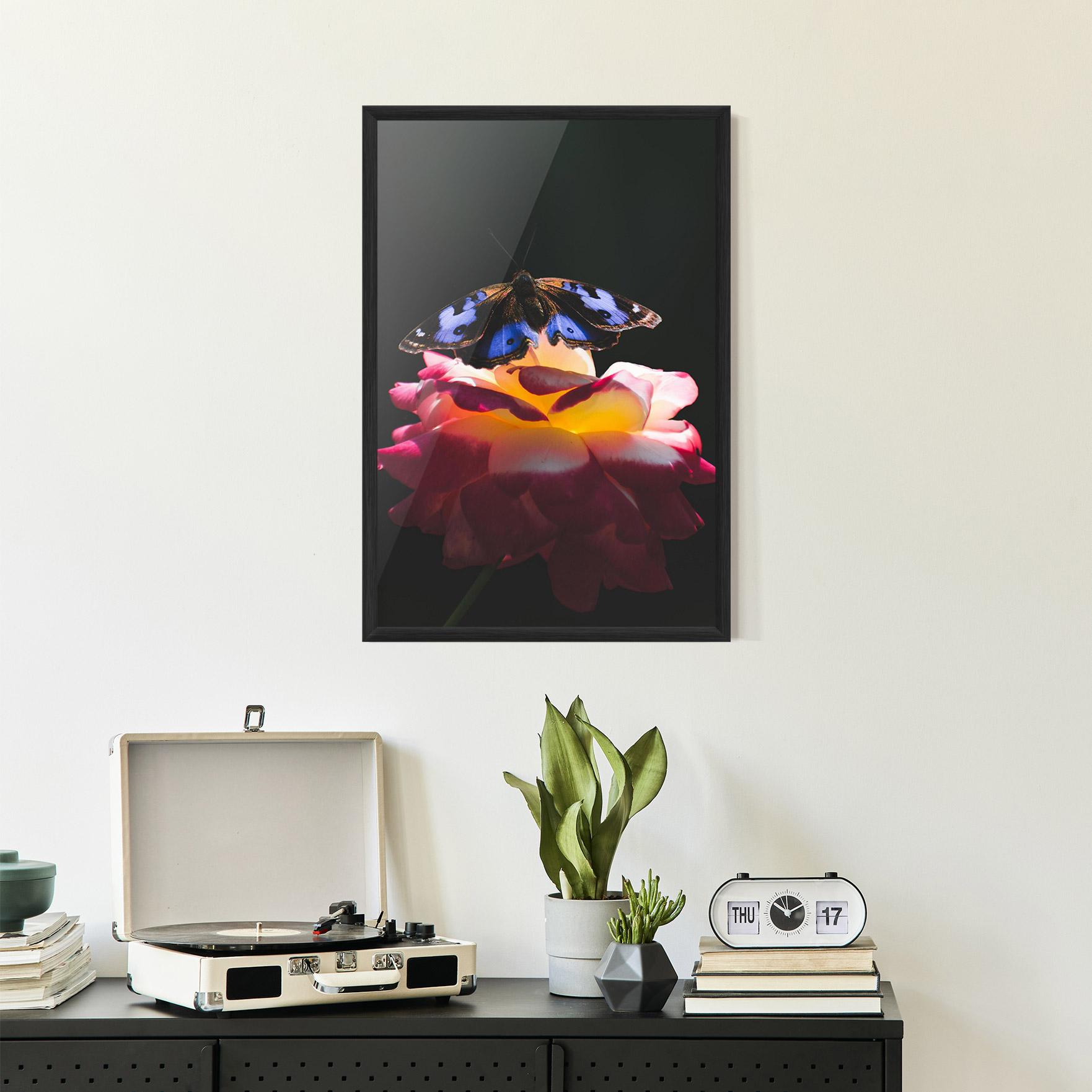 Gerahmte Poster Rose Butterfly mockup 2