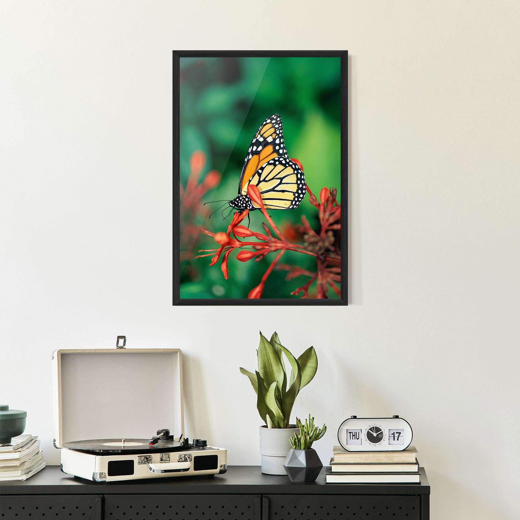 Gerahmte Poster Small Orange Butterfly mockup 2