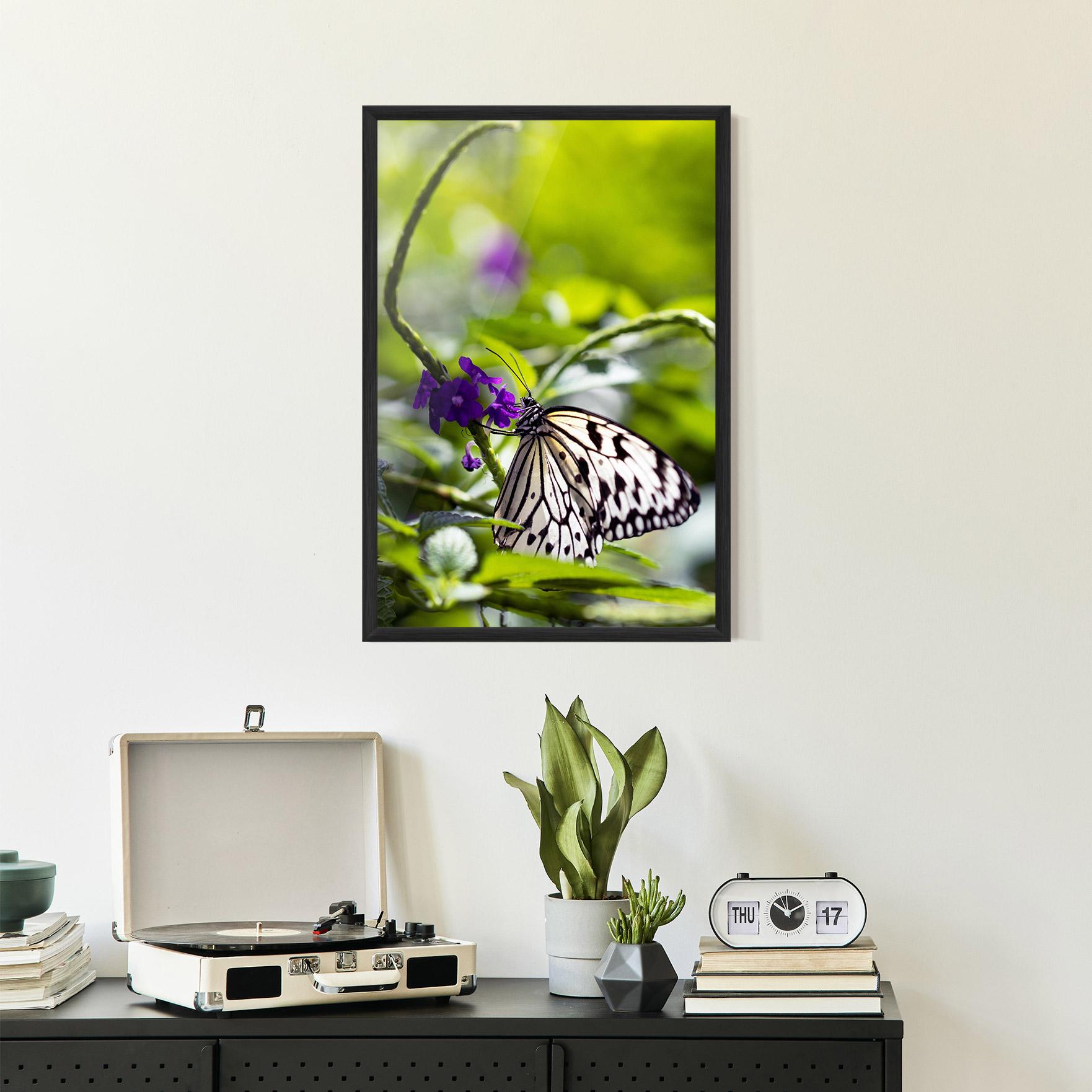 Gerahmte Poster White Black Butterfly mockup 2
