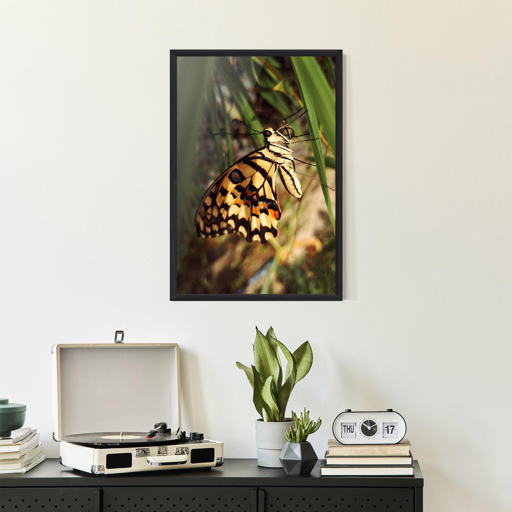 Gerahmte Poster Wild Brown Butterfly mockup 2