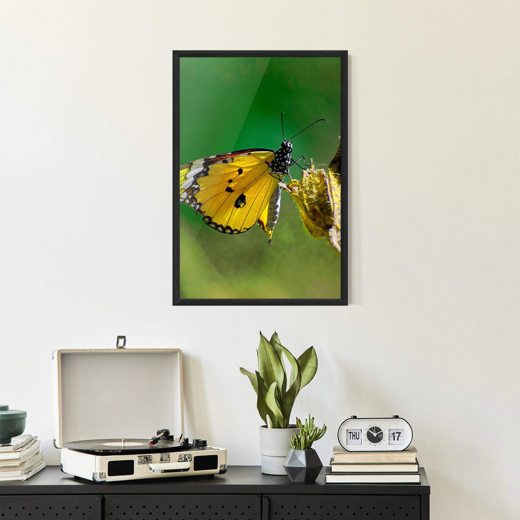 Gerahmte Poster Yellow White Butterfly mockup 2