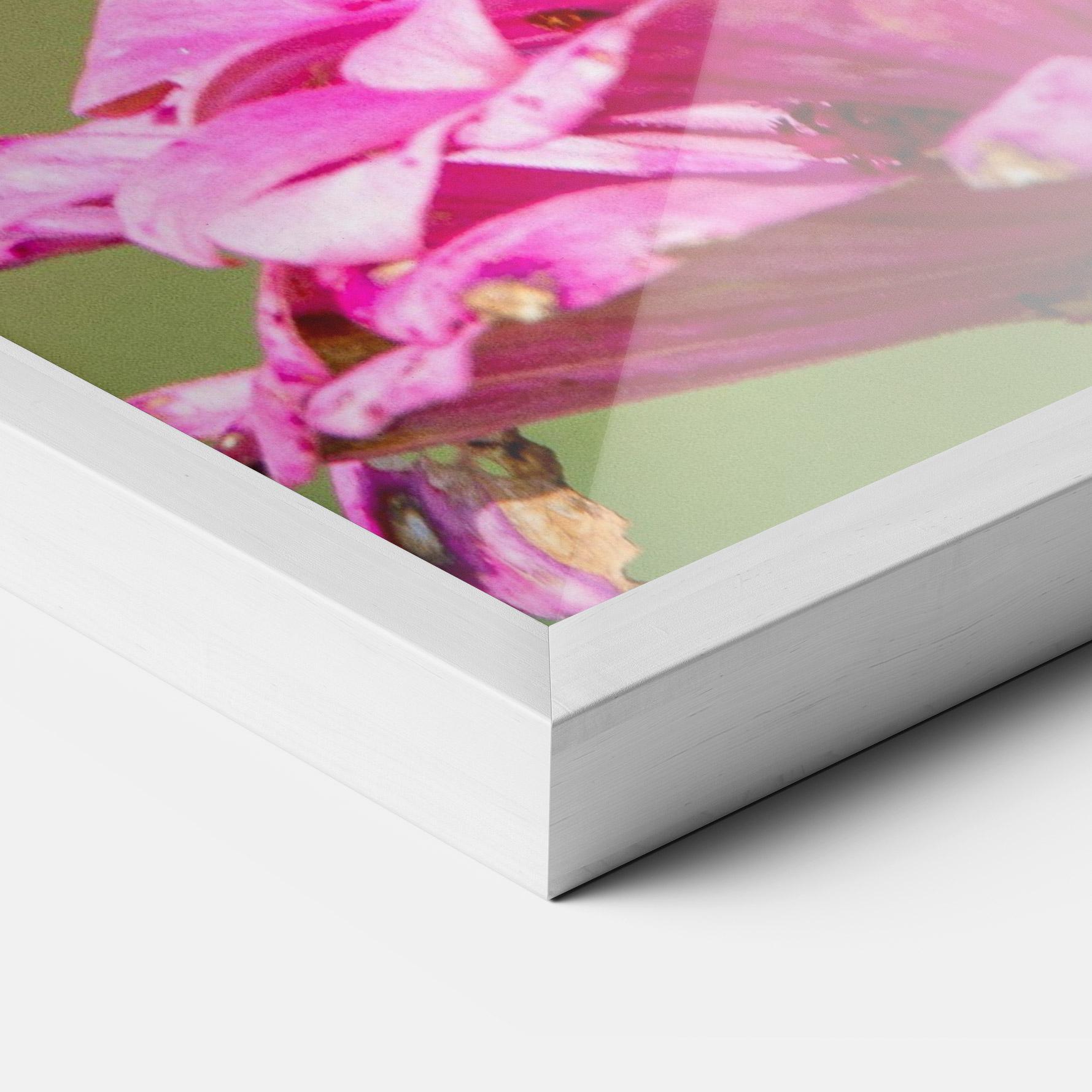 Gerahmte Poster Blue Grey Butterfly mockup 3