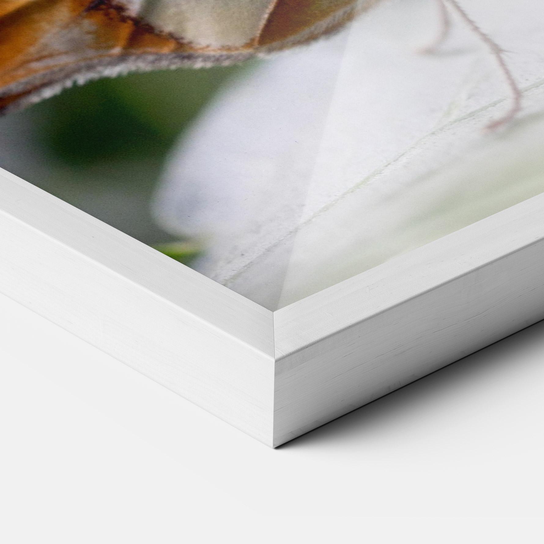 Gerahmte Poster Brown Yellow Butterfly mockup 3