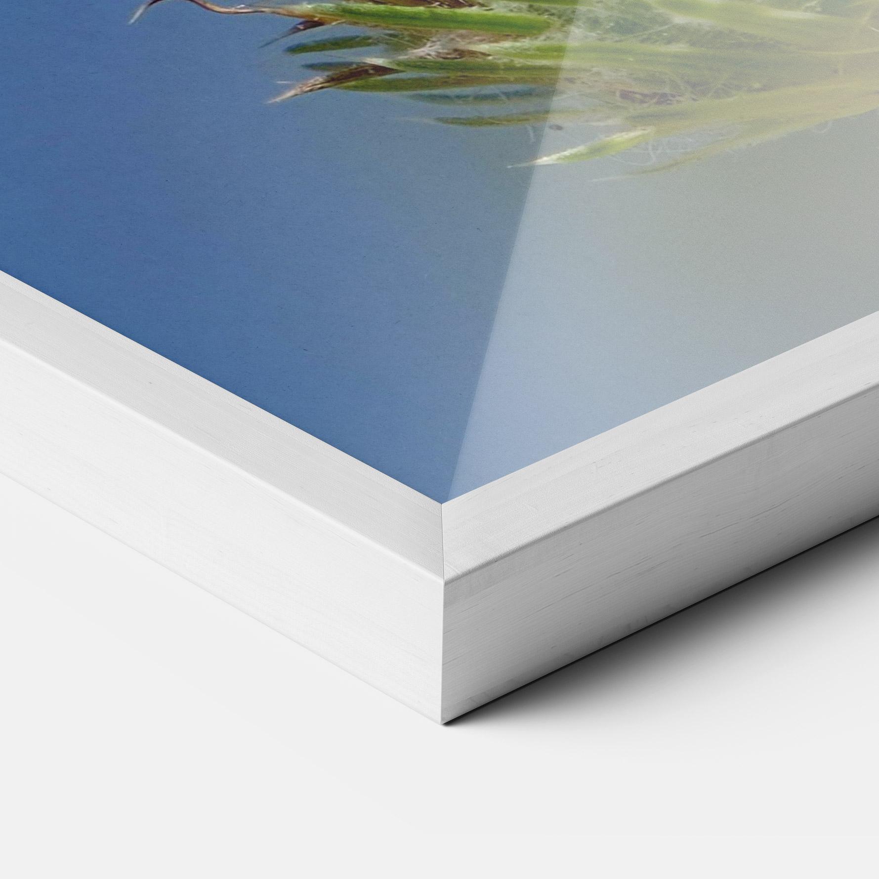 Gerahmte Poster Grey White Butterfly mockup 3