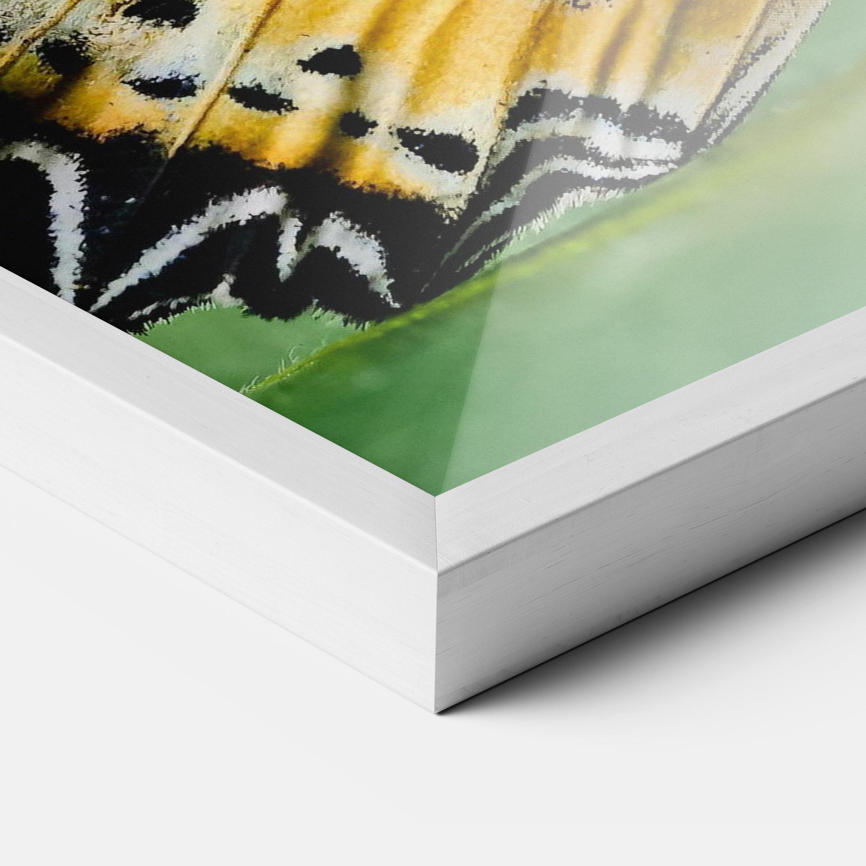 Gerahmte Poster Pretty Colorful Butterfly mockup 3