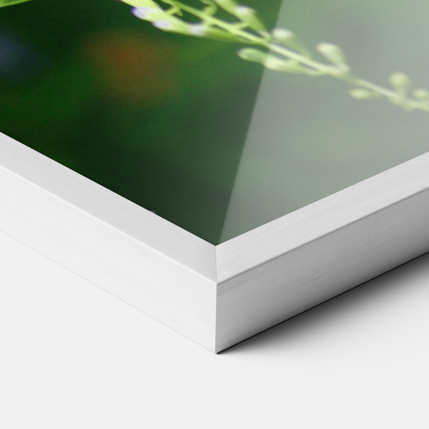 Gerahmte Poster Pretty White Butterfly mockup 3