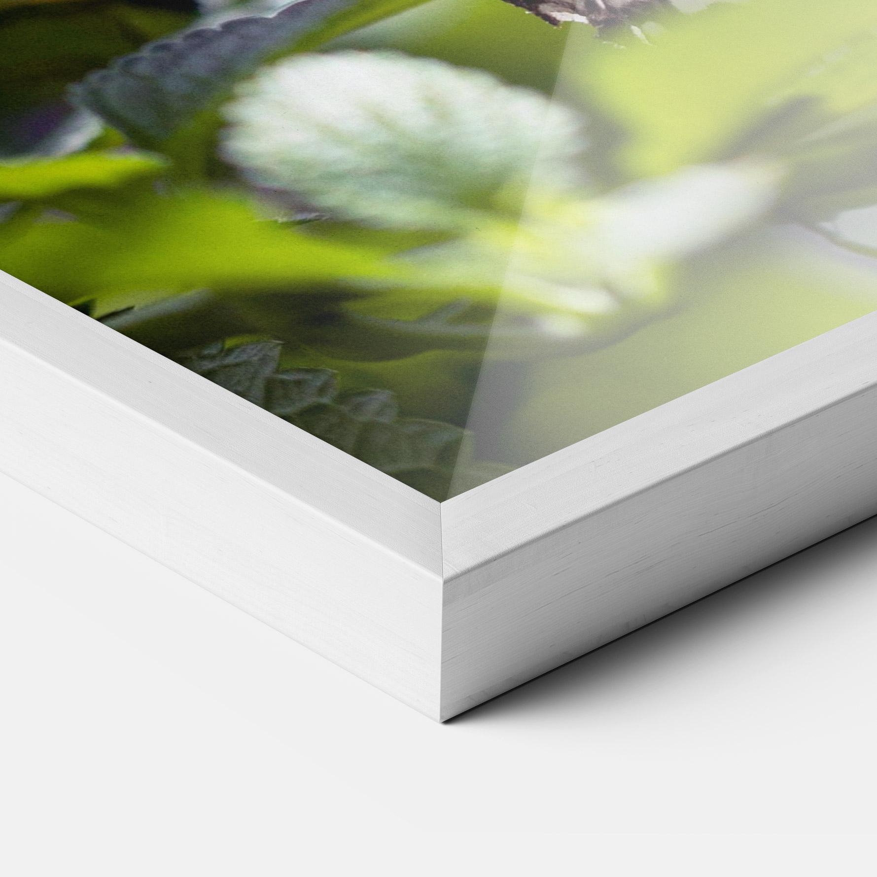 Gerahmte Poster White Black Butterfly mockup 3