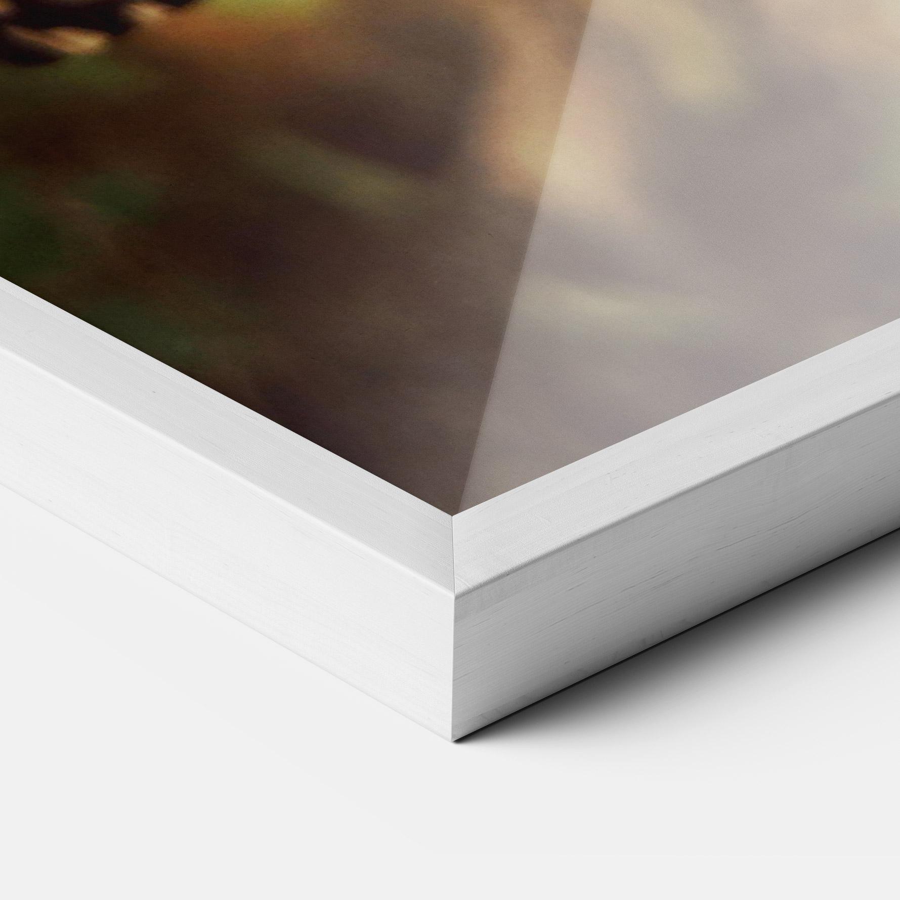 Gerahmte Poster Wild Brown Butterfly mockup 3