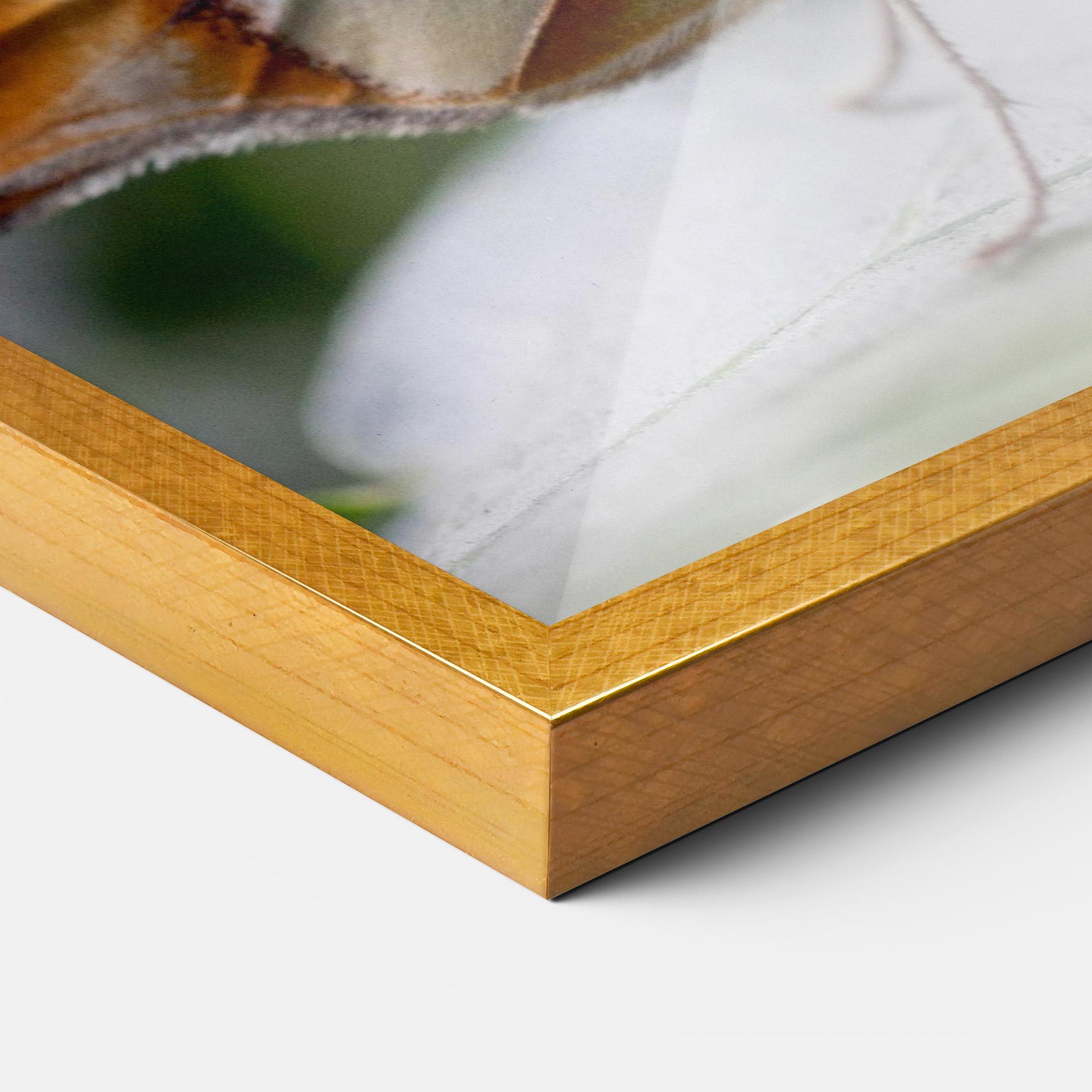 Gerahmte Poster Brown Yellow Butterfly mockup 3