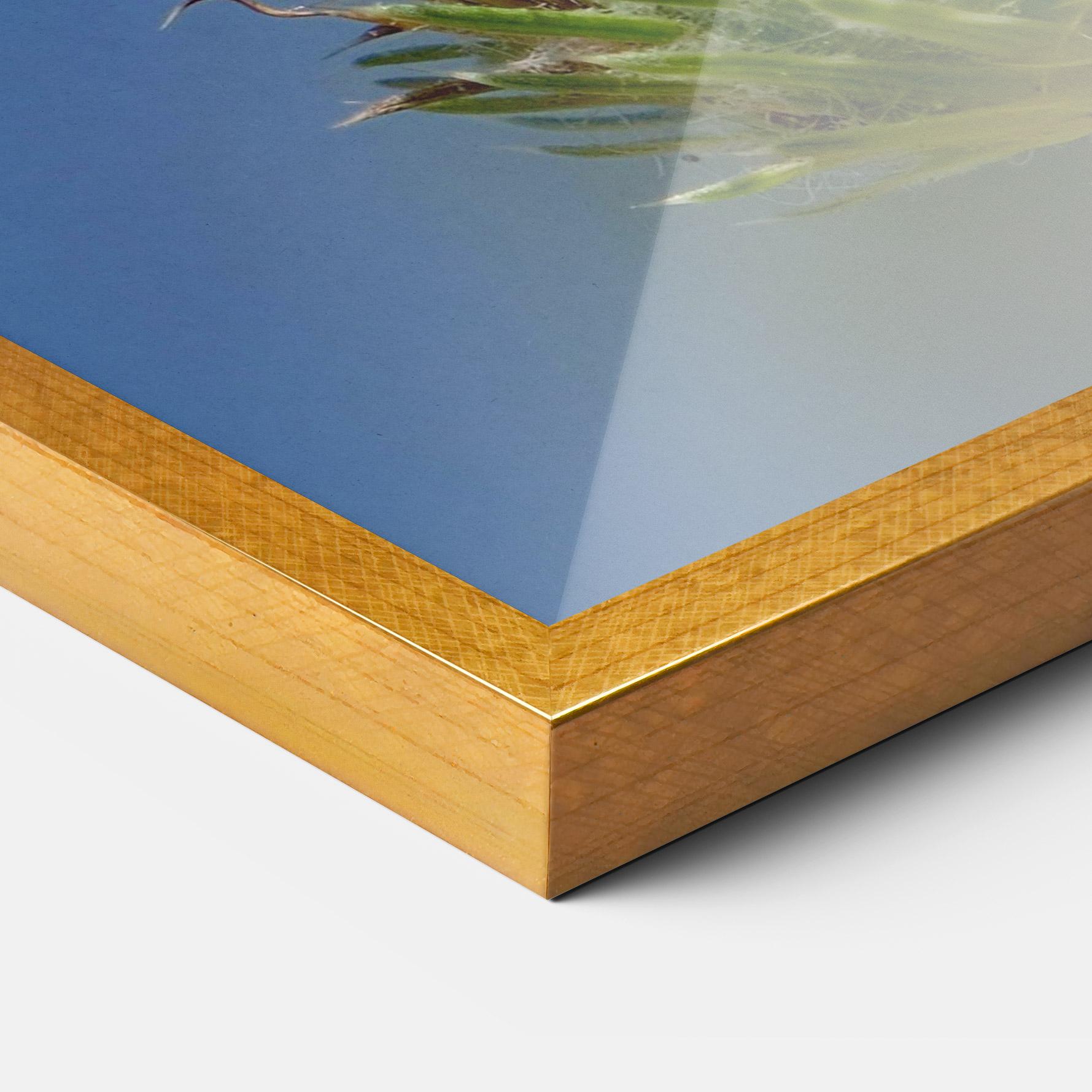 Gerahmte Poster Grey White Butterfly mockup 3