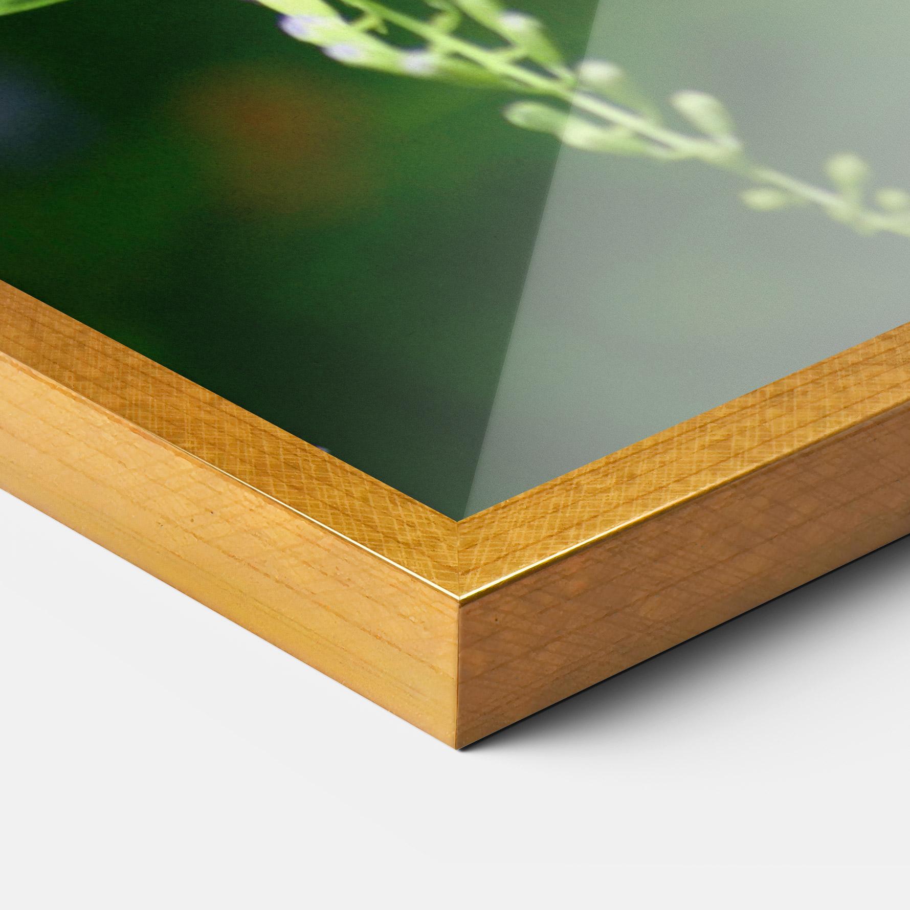 Gerahmte Poster Pretty White Butterfly mockup 3