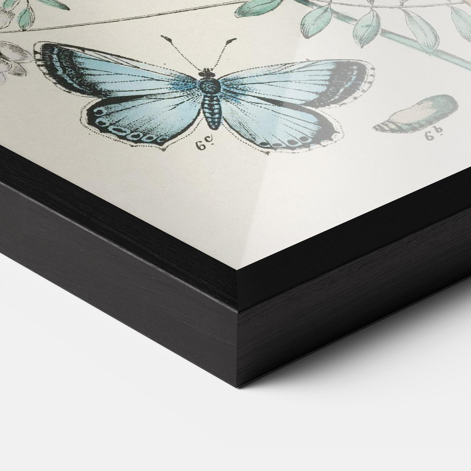 Gerahmte Poster Blue Orange Butterflies mockup 3