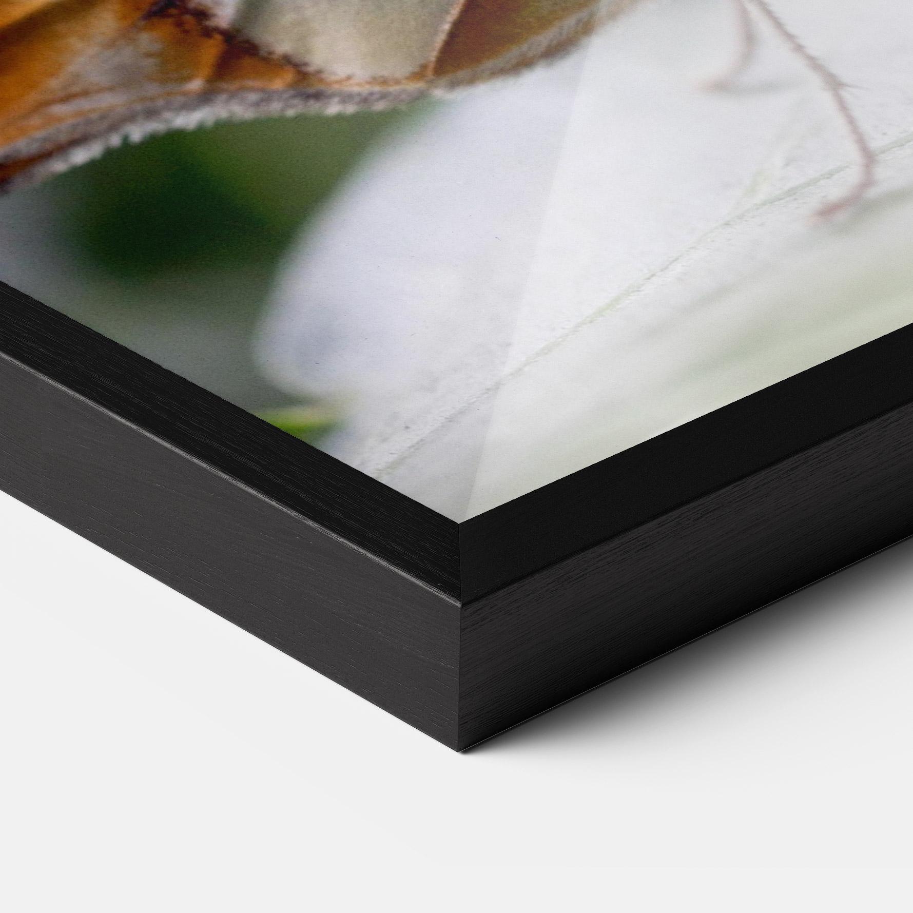 Gerahmte Poster Brown Yellow Butterfly mockup 3