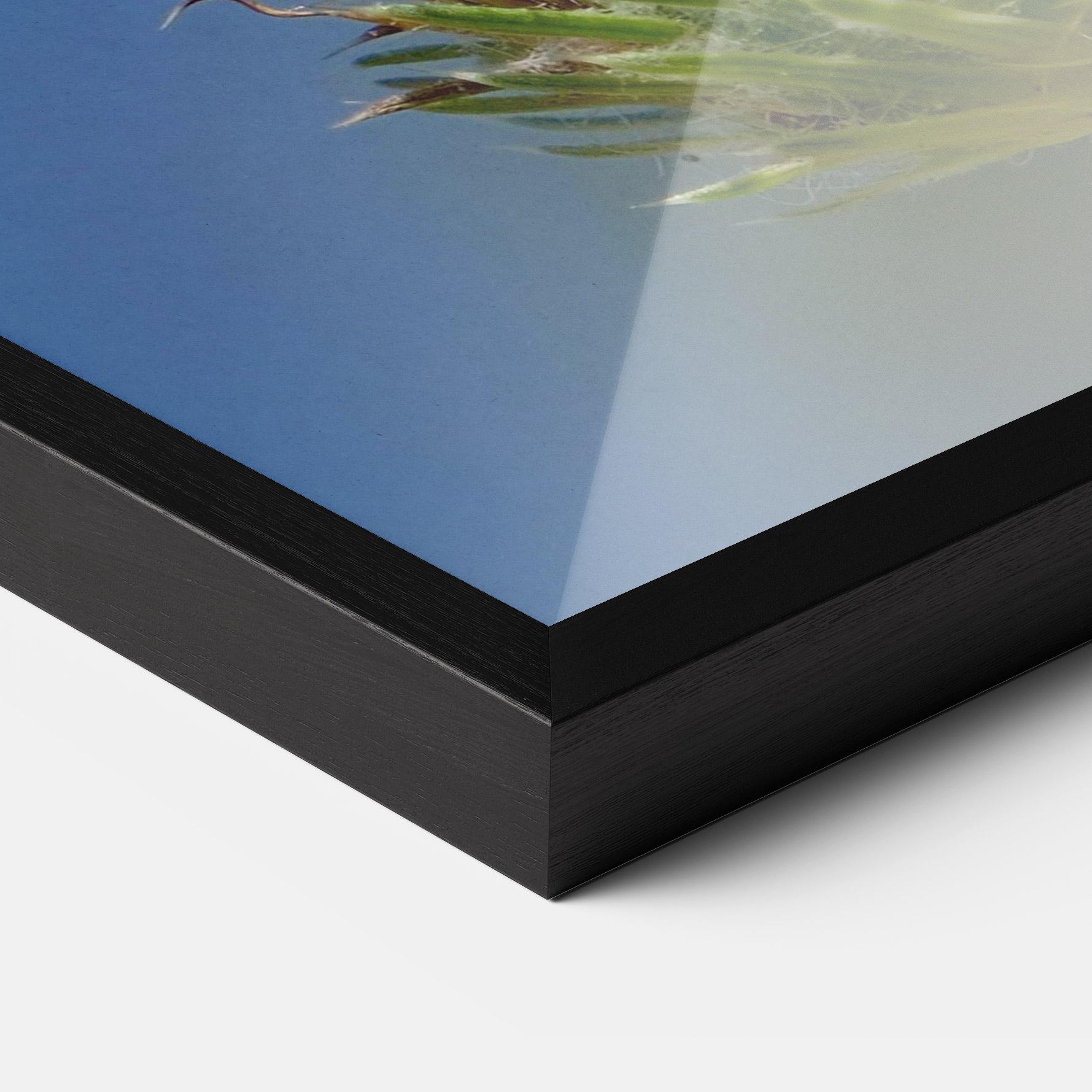 Gerahmte Poster Grey White Butterfly mockup 3