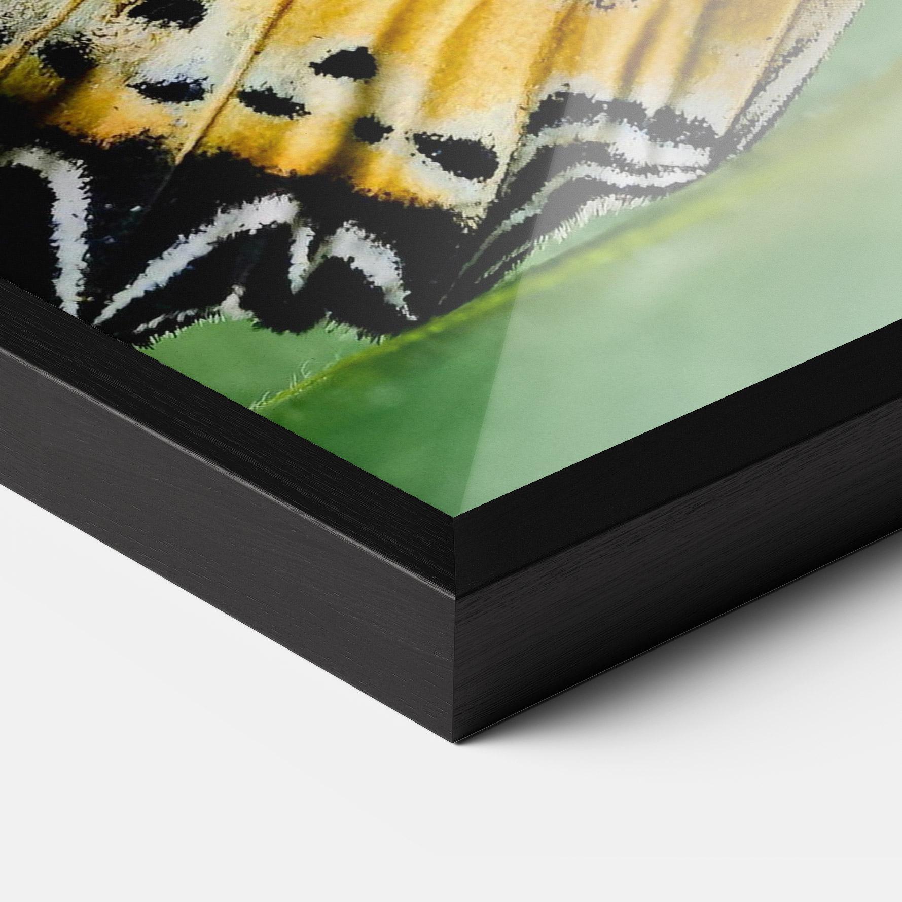 Gerahmte Poster Pretty Colorful Butterfly mockup 3