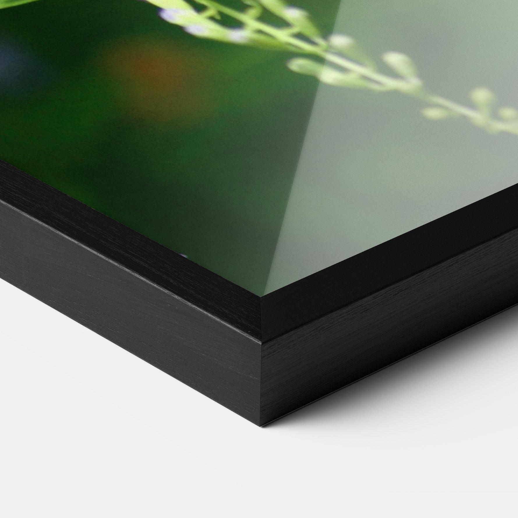 Gerahmte Poster Pretty White Butterfly mockup 3