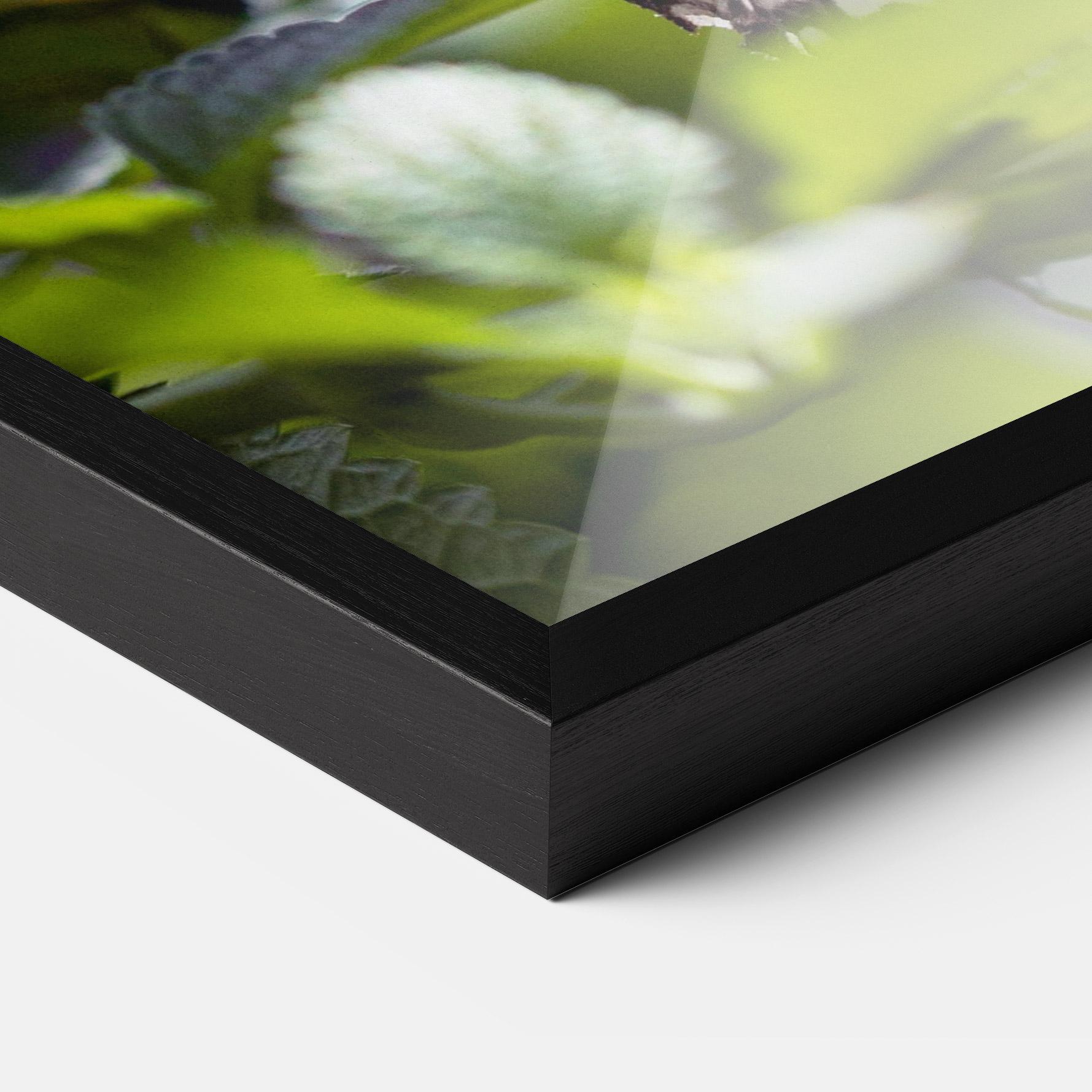Gerahmte Poster White Black Butterfly mockup 3