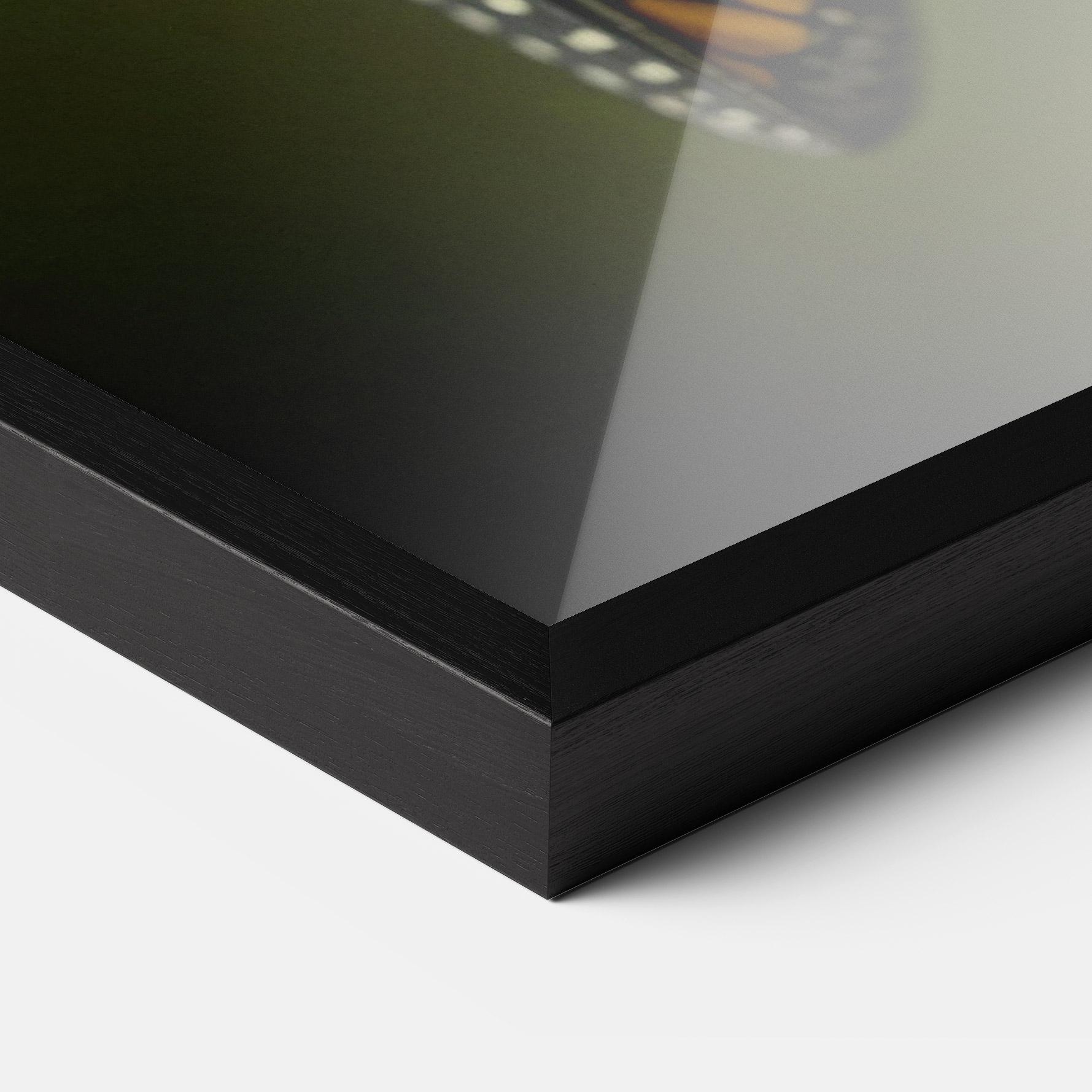 Gerahmte Poster Yellow Black Butterfly mockup 3