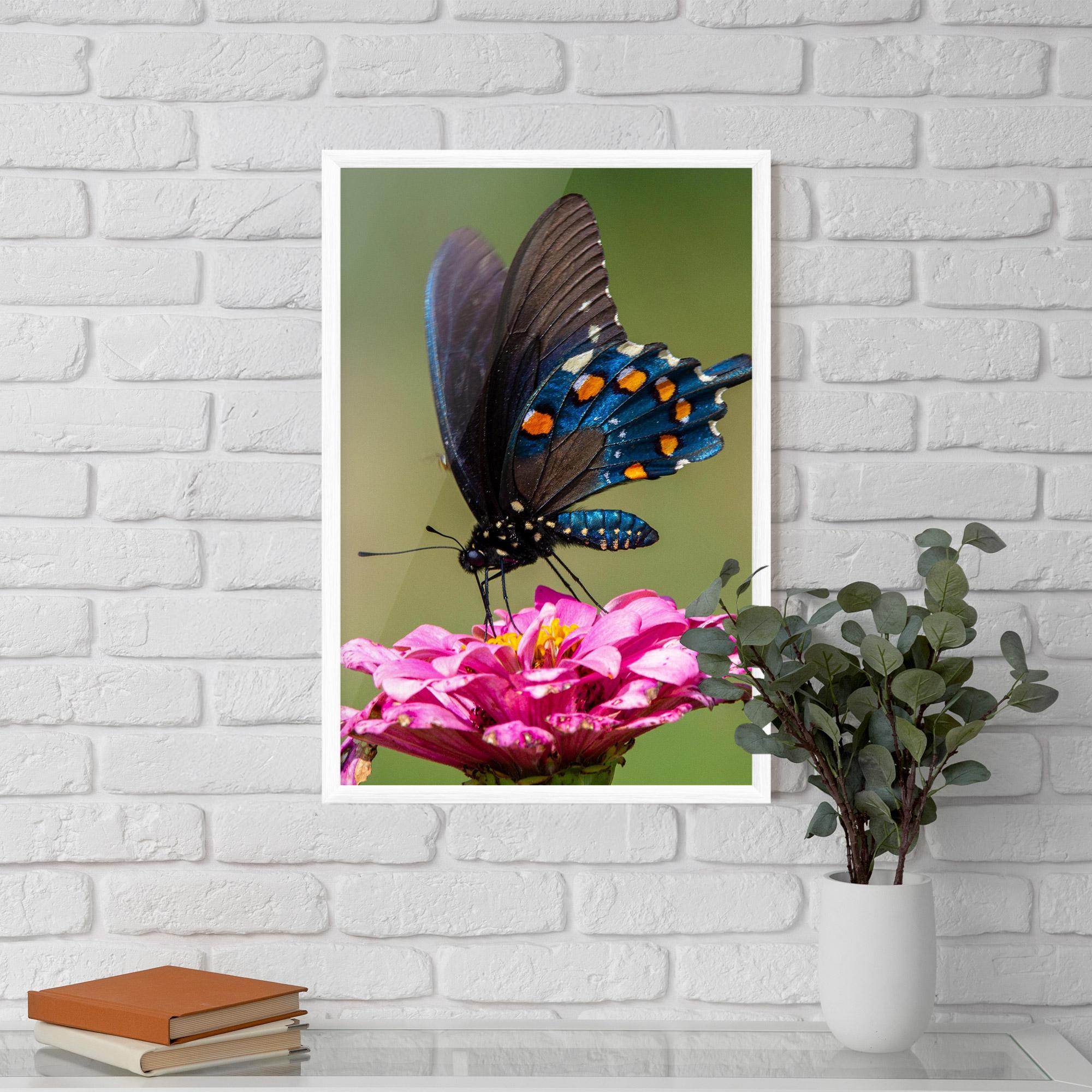 Gerahmte Poster Blue Grey Butterfly mockup 5