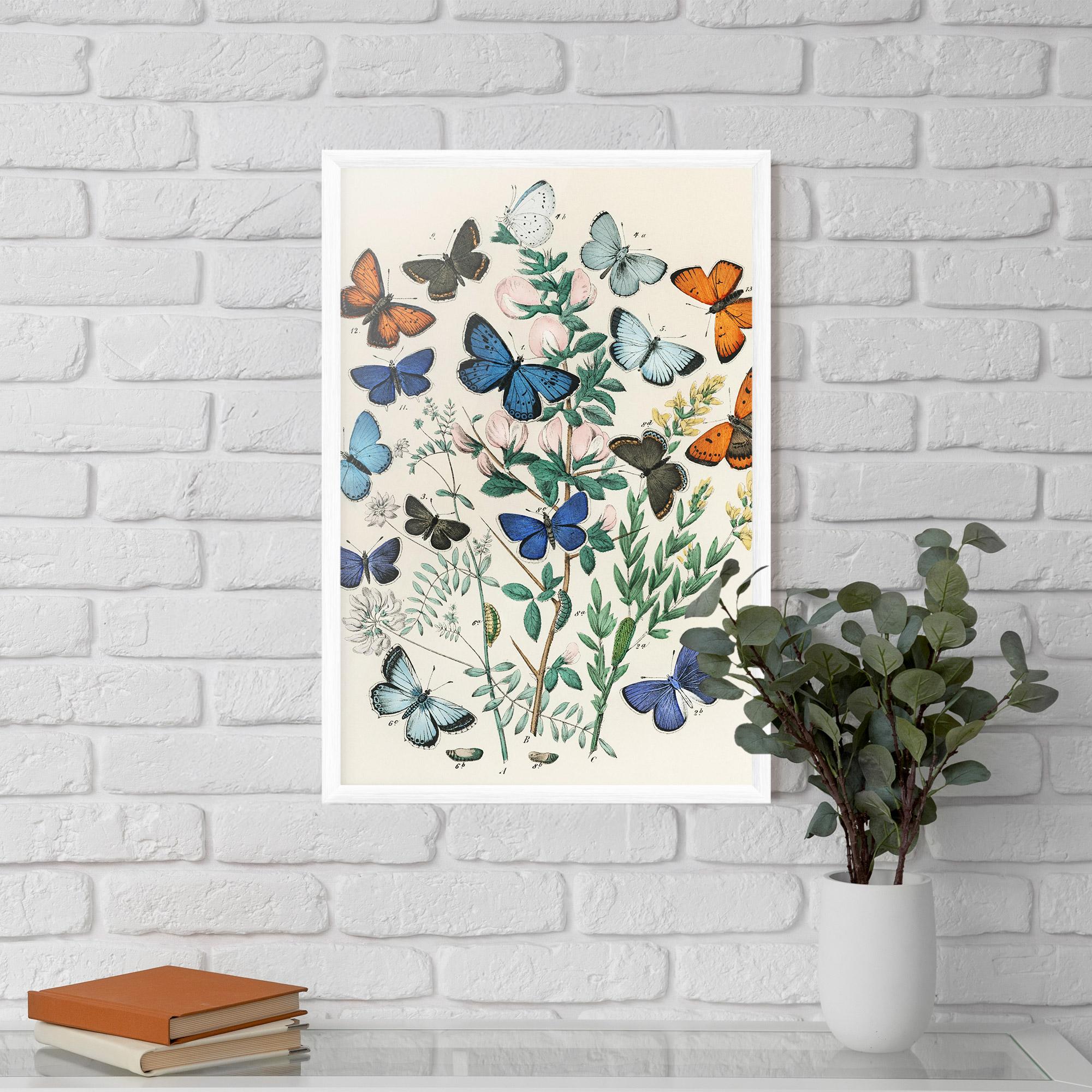 Gerahmte Poster Blue Orange Butterflies mockup 5