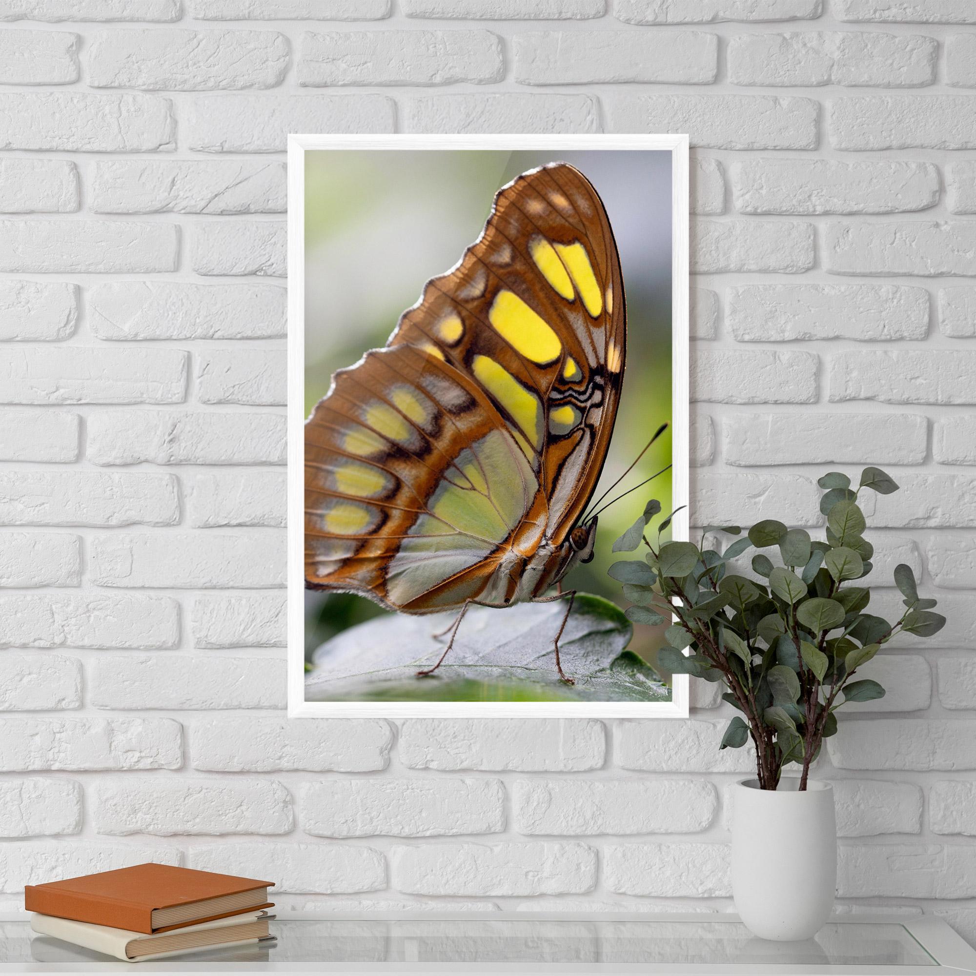 Gerahmte Poster Brown Yellow Butterfly mockup 5