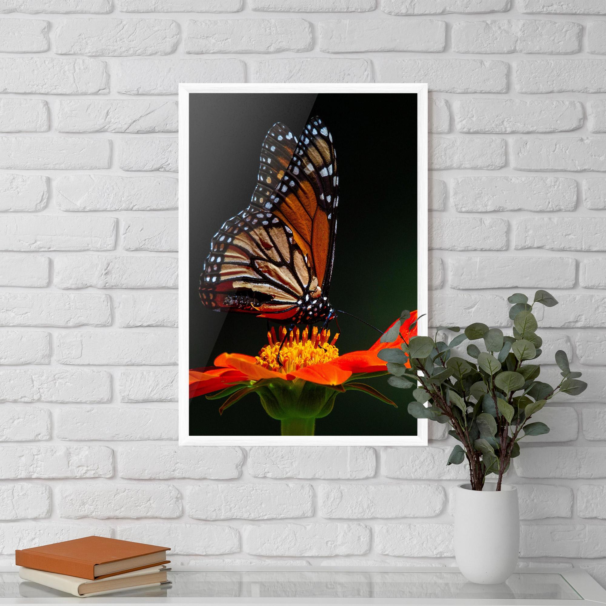 Gerahmte Poster Dark Orange Butterfy mockup 5