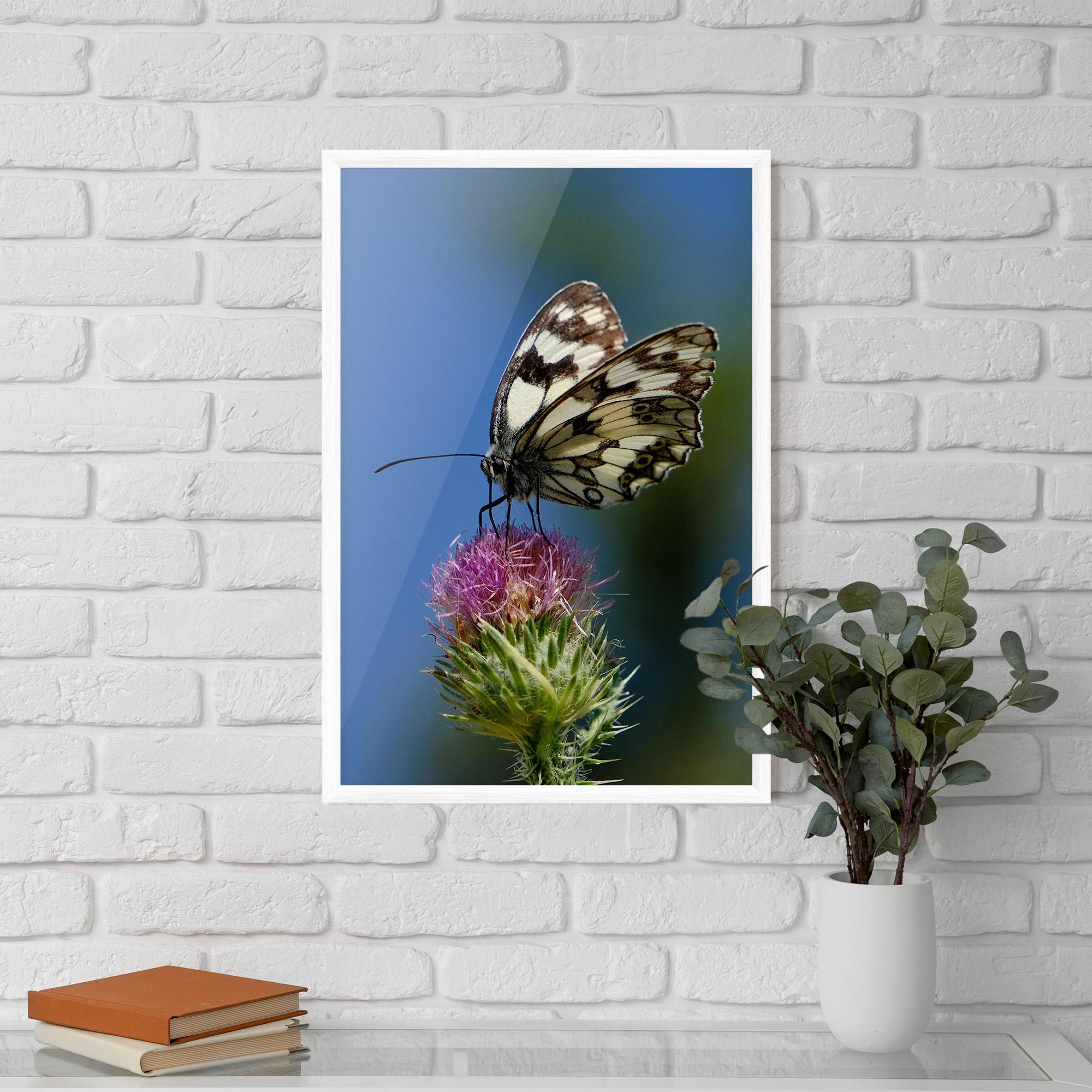 Gerahmte Poster Grey White Butterfly mockup 5