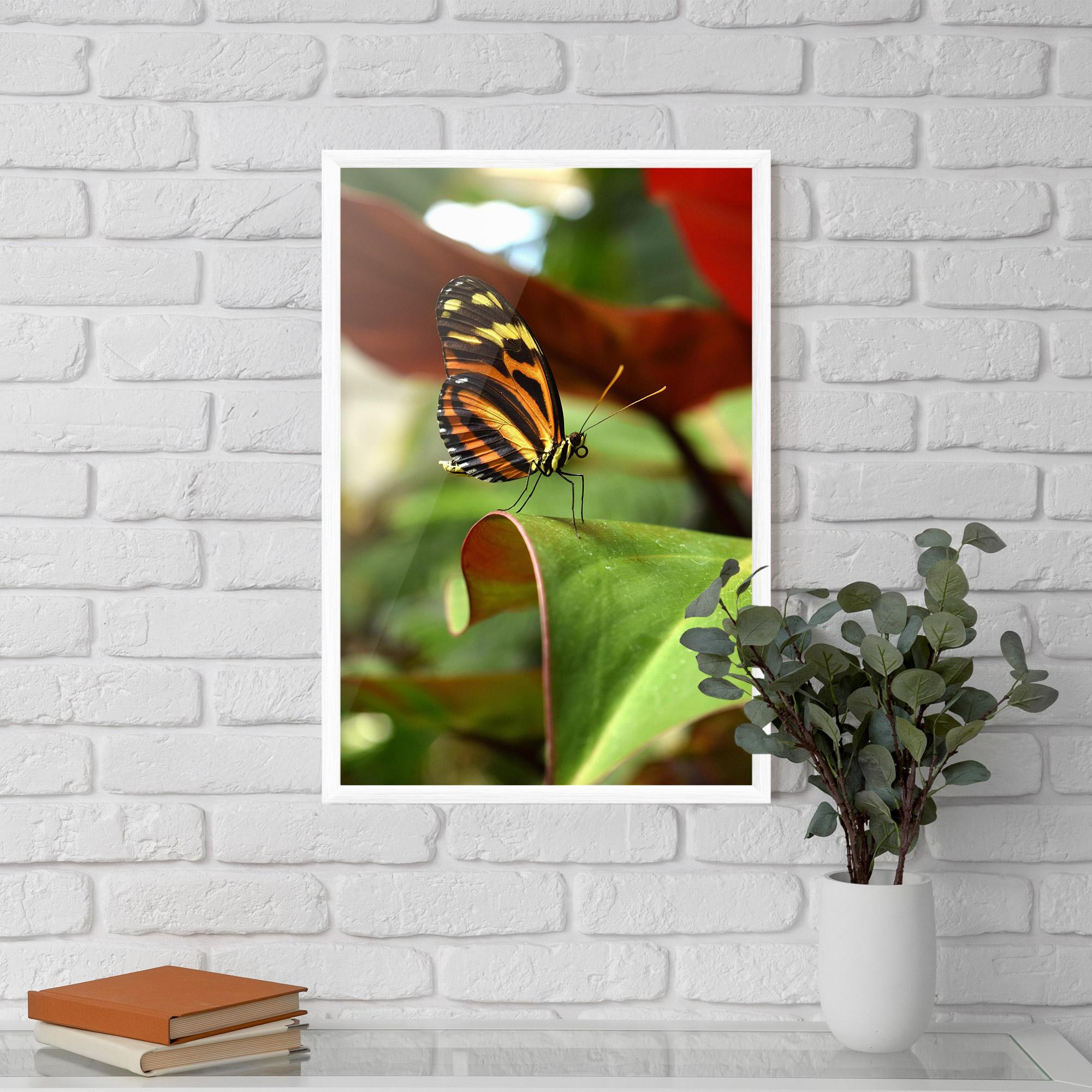 Gerahmte Poster Orange Yellow Butterfly mockup 5