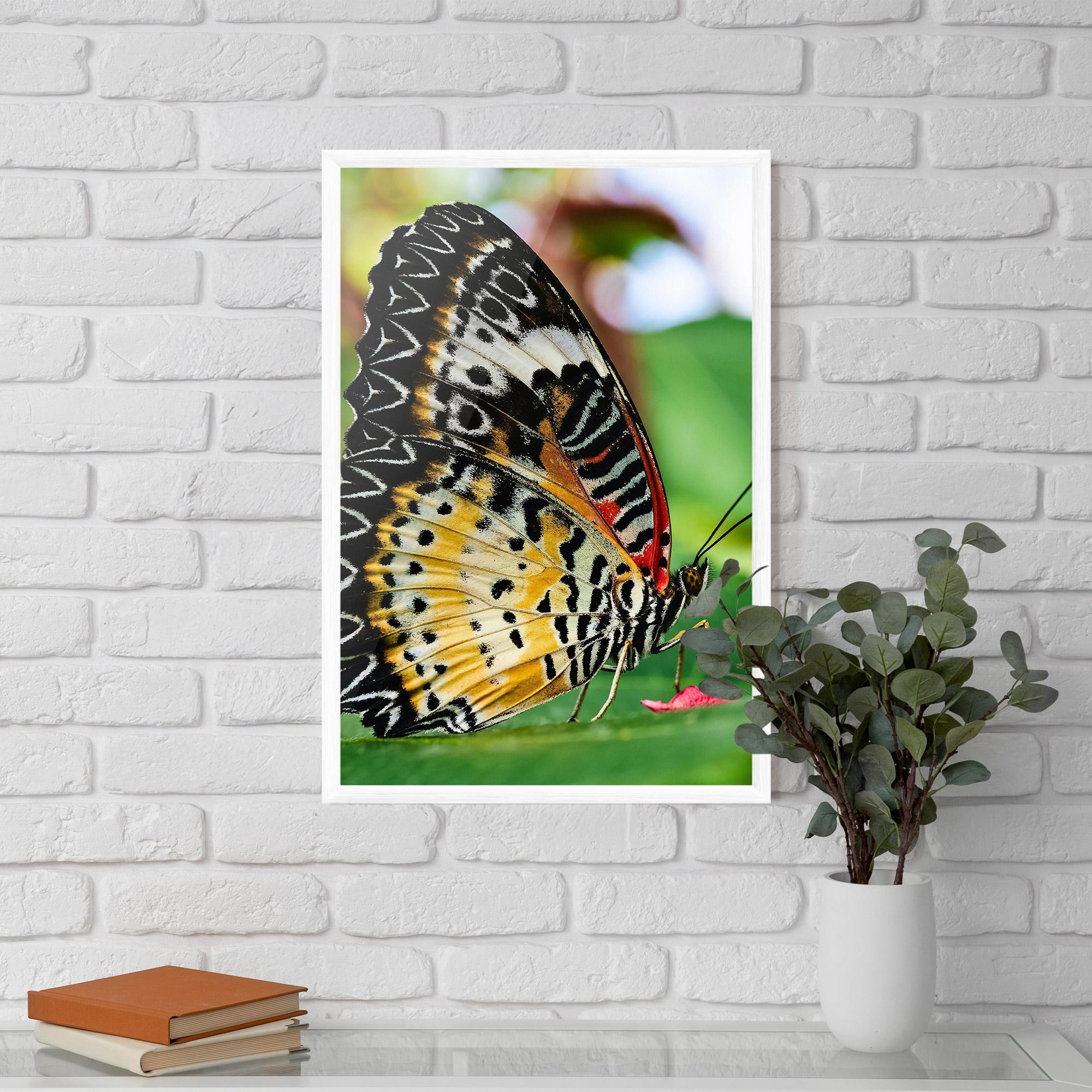 Gerahmte Poster Pretty Colorful Butterfly mockup 5