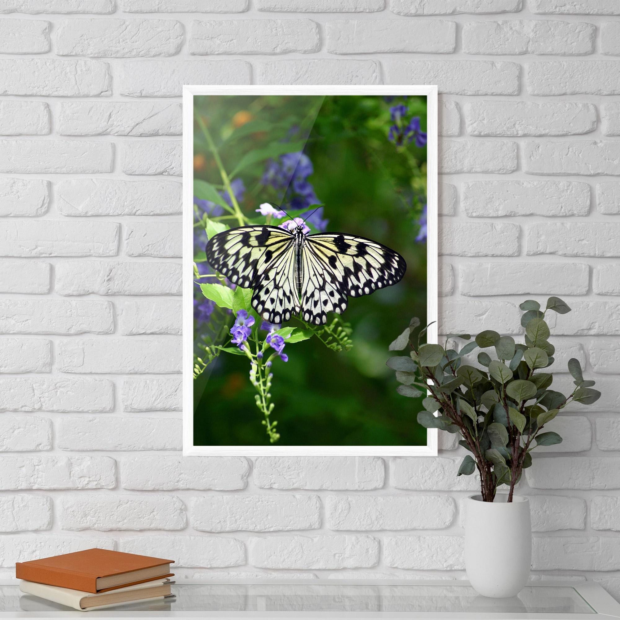 Gerahmte Poster Pretty White Butterfly mockup 5