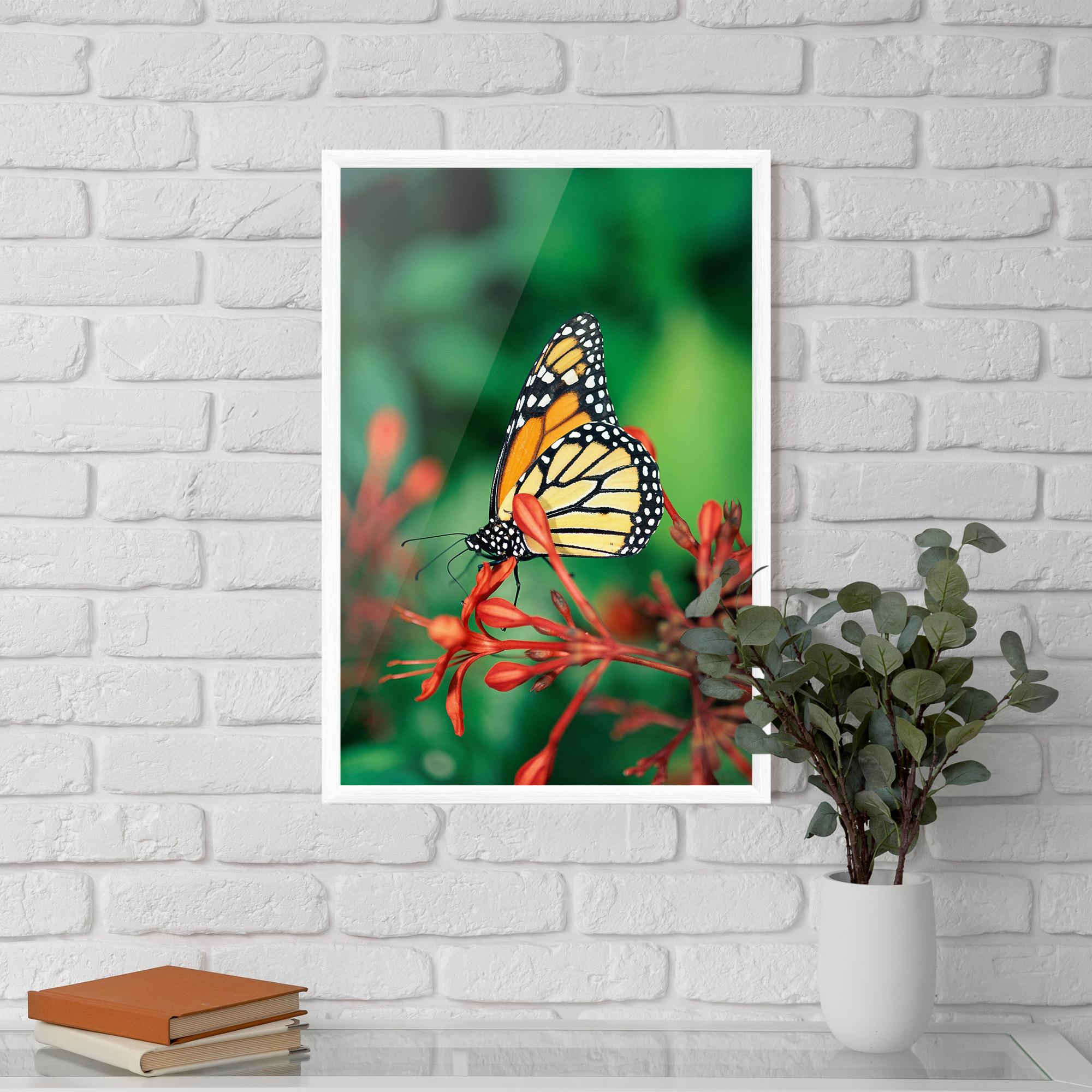 Gerahmte Poster Small Orange Butterfly mockup 5