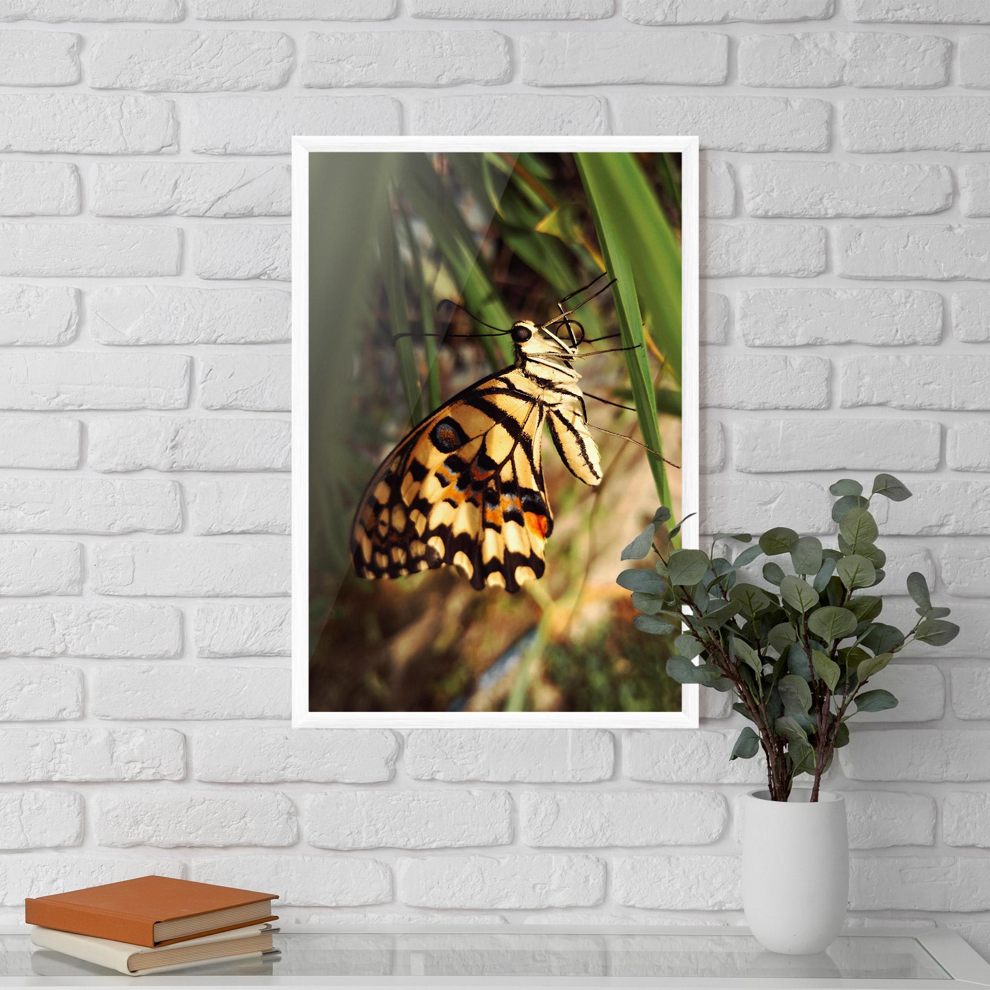 Gerahmte Poster Wild Brown Butterfly mockup 5