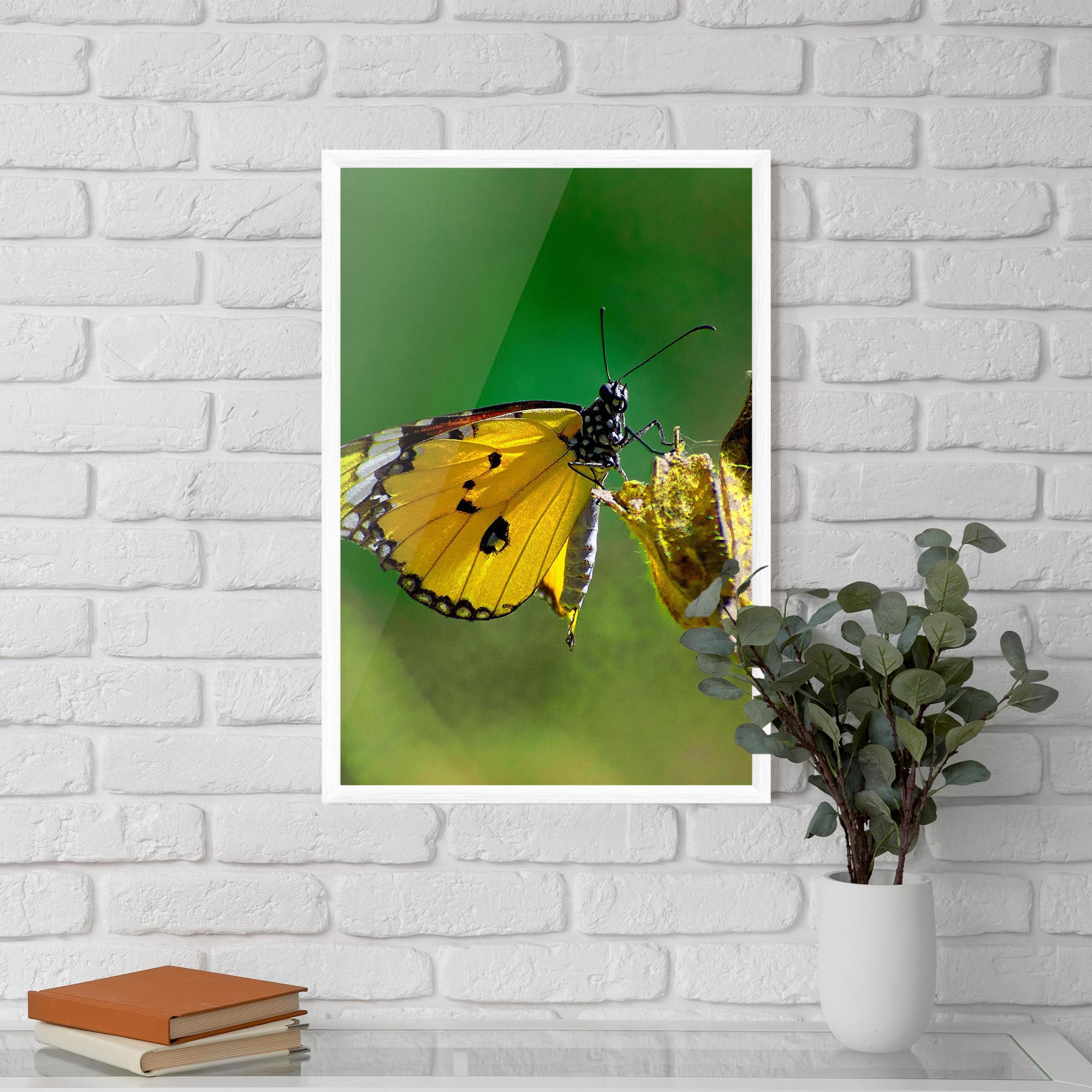 Gerahmte Poster Yellow White Butterfly mockup 5