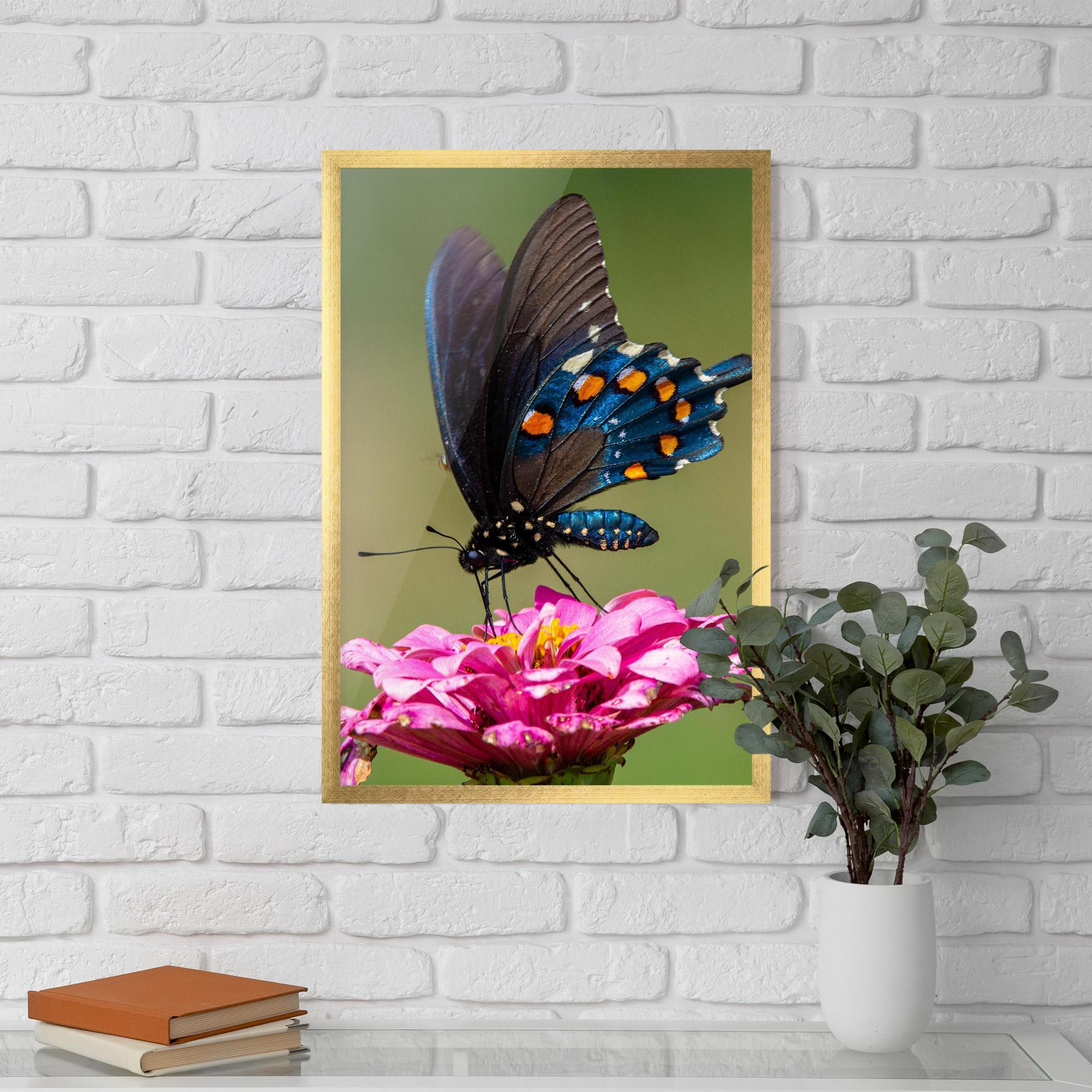 Gerahmte Poster Blue Grey Butterfly mockup 5