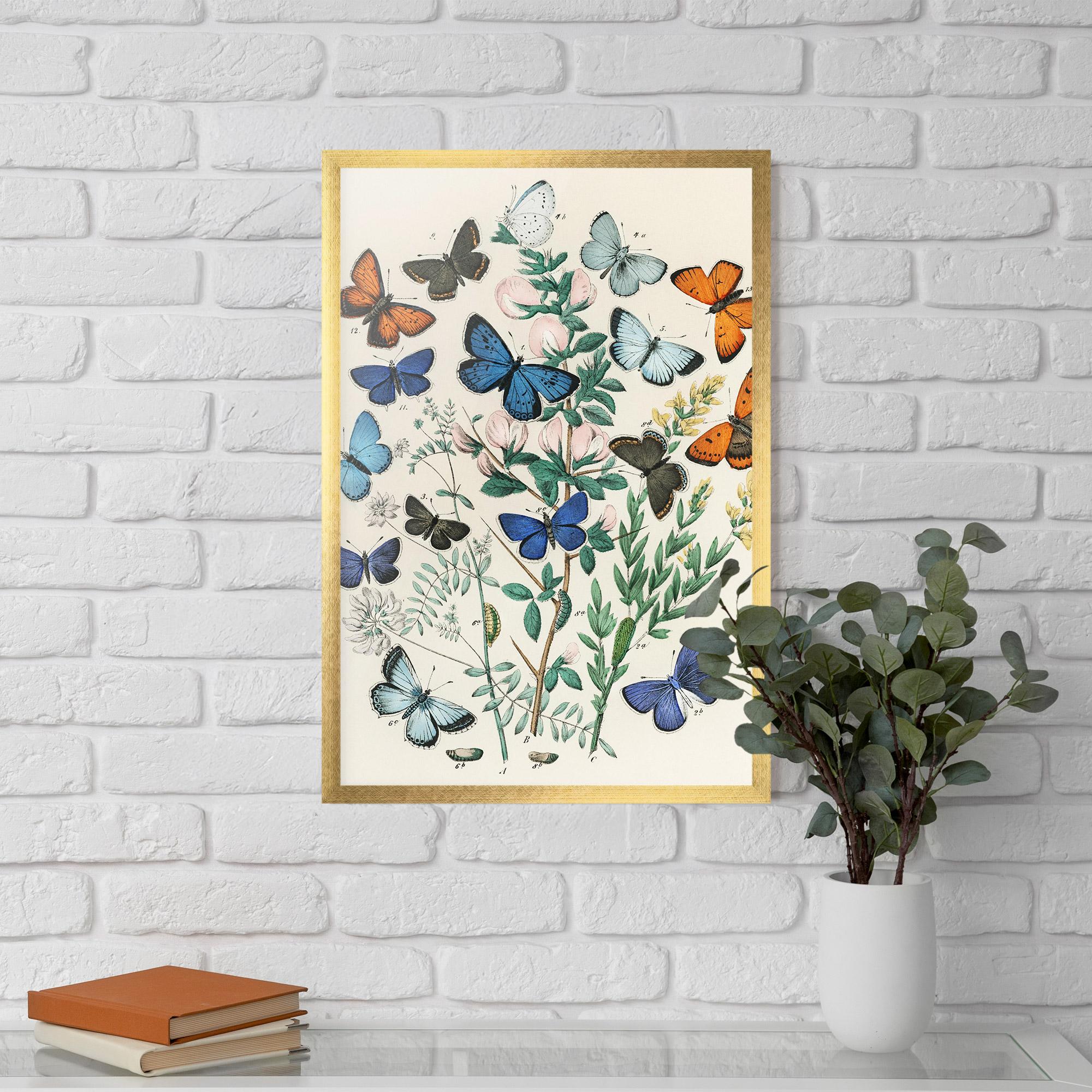 Gerahmte Poster Blue Orange Butterflies mockup 5