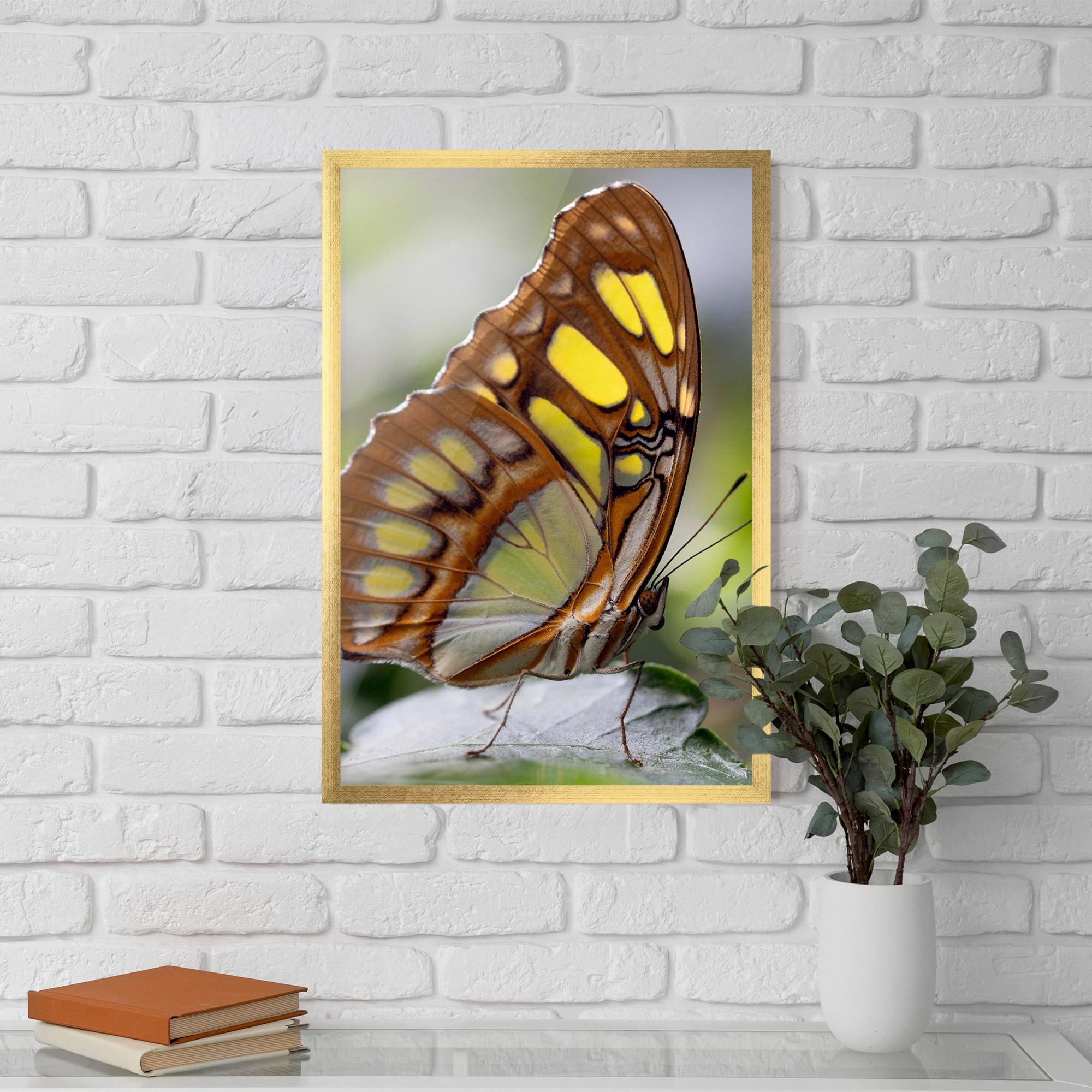 Gerahmte Poster Brown Yellow Butterfly mockup 5