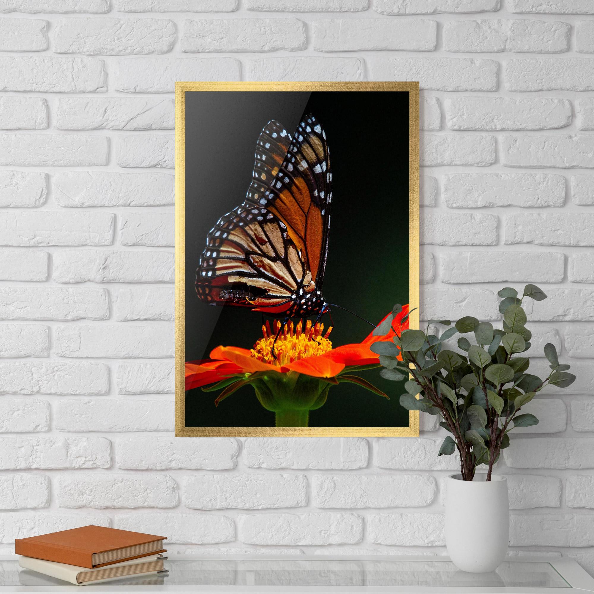 Gerahmte Poster Dark Orange Butterfy mockup 5