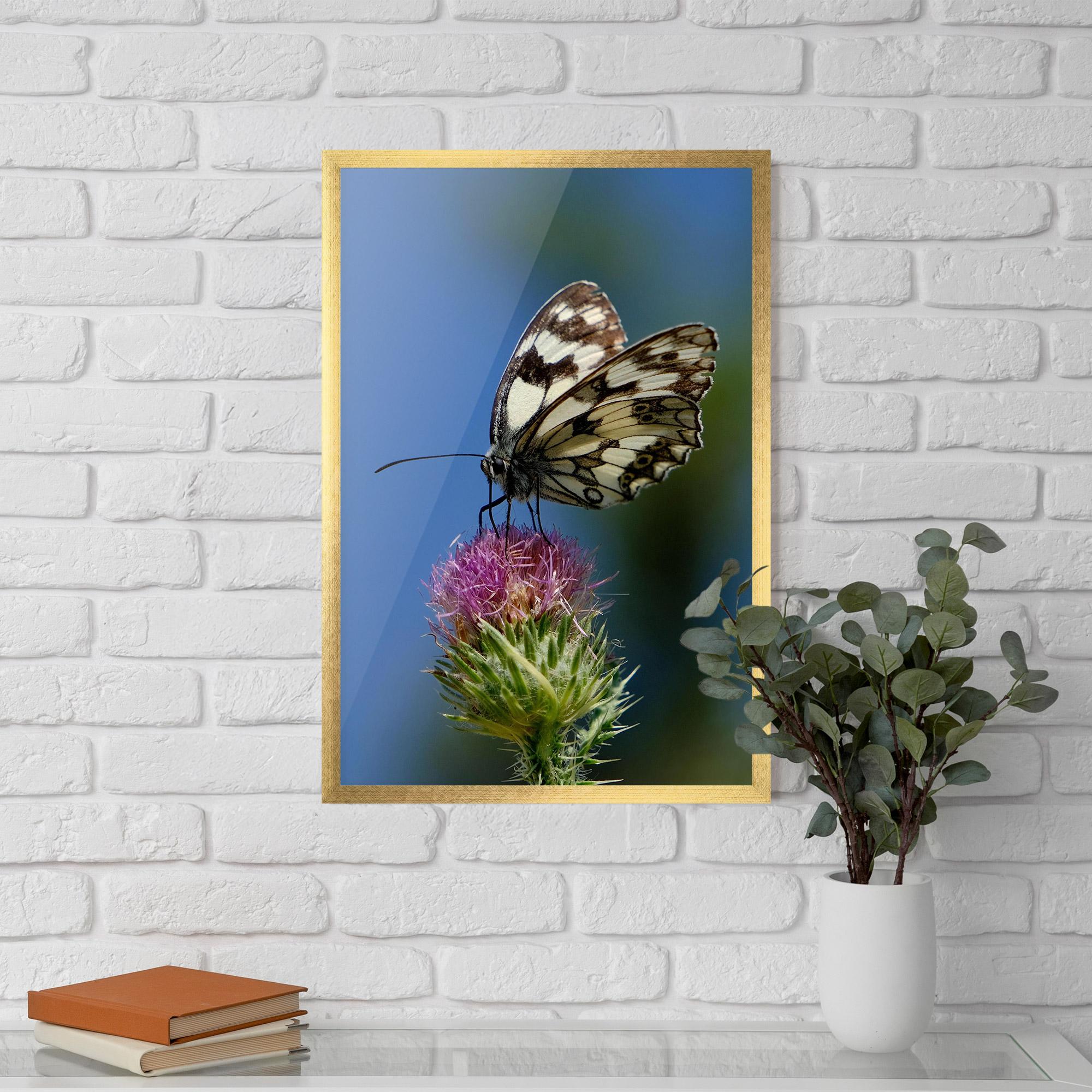 Gerahmte Poster Grey White Butterfly mockup 5