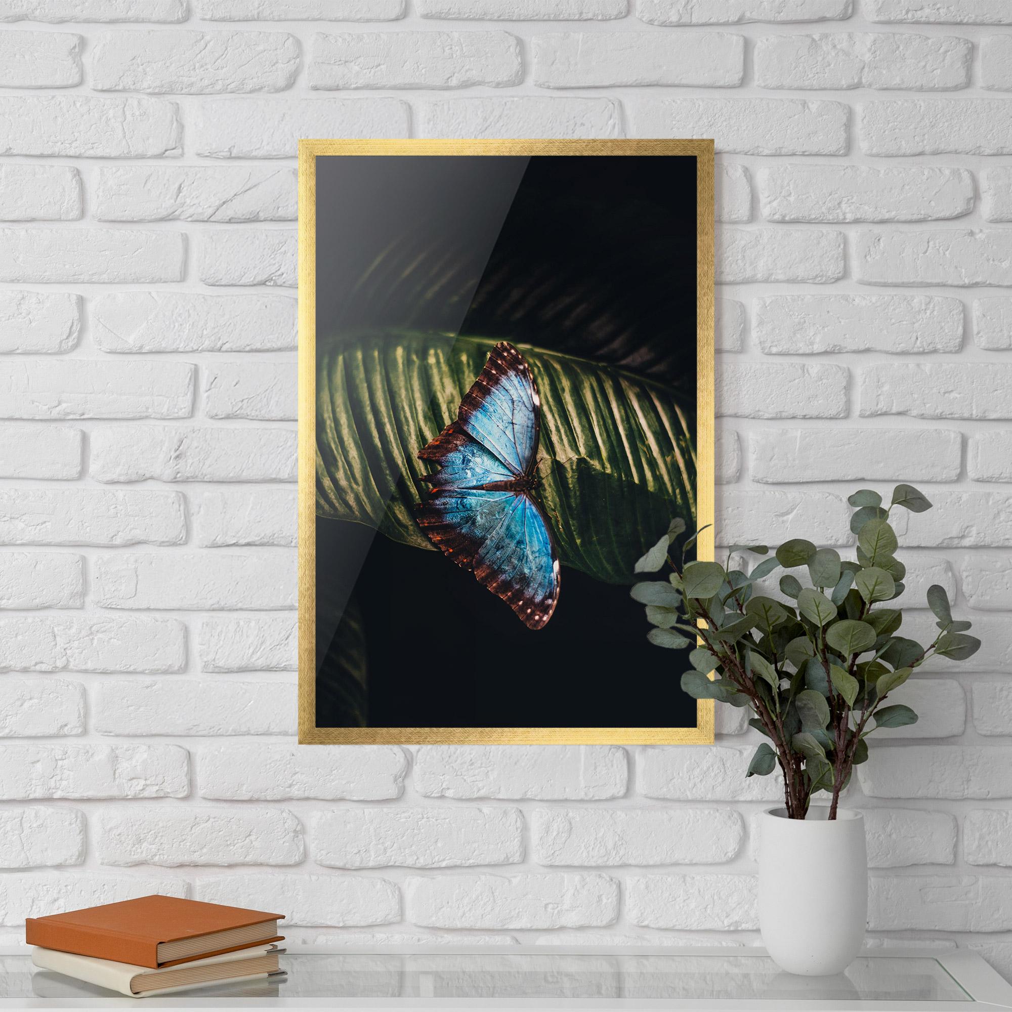 Gerahmte Poster Light Blue Butterfly mockup 5